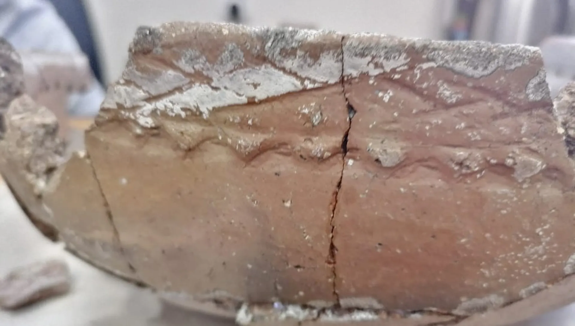 На Алтае нашли керамическую чашу возрастом около 2500 лет На Алтае нашли керамическую чашу возрастом около 2500 лет