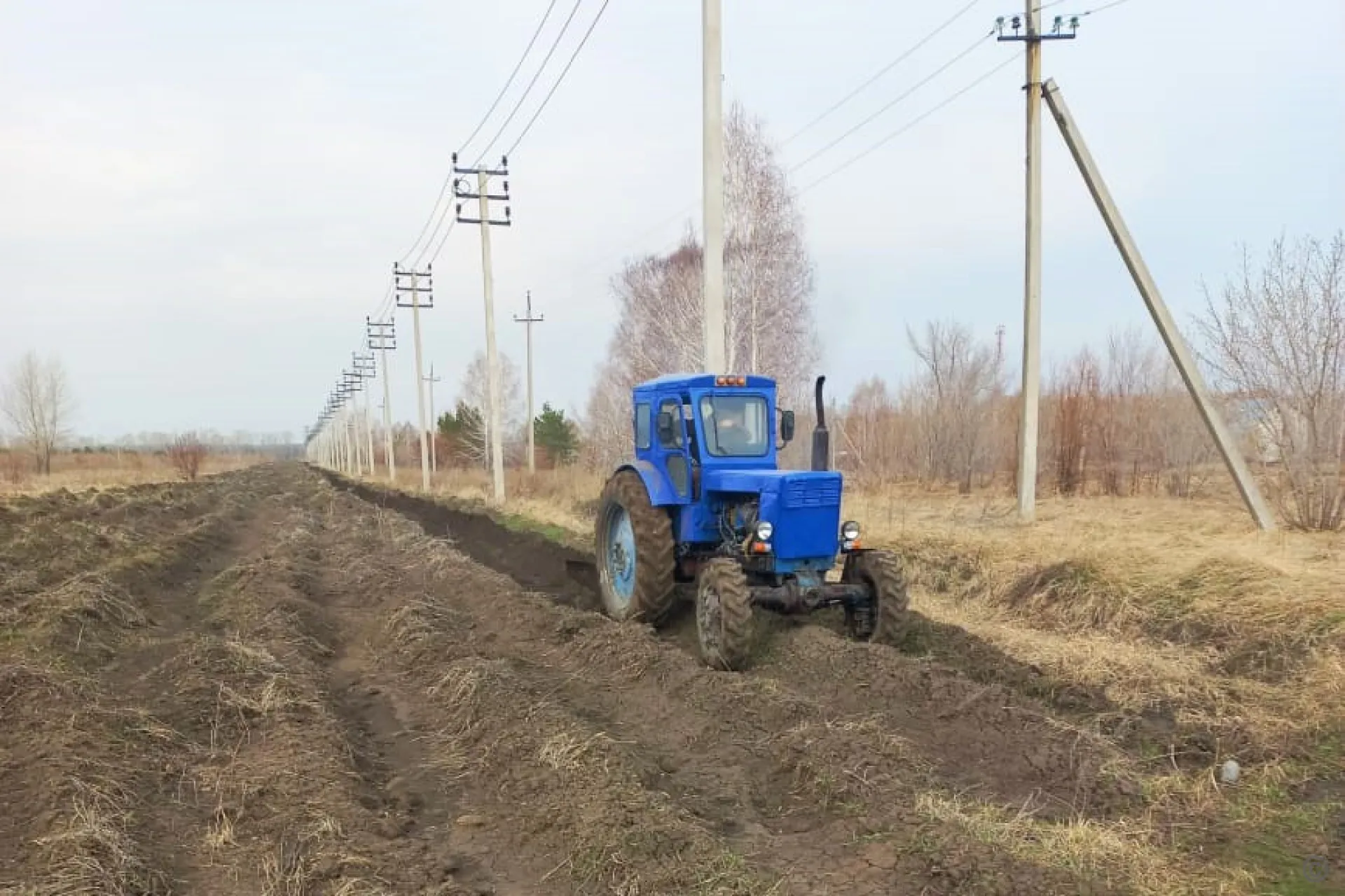 167 километров противопожарных полос проложат в пригородных поселках Барнаула 167 километров противопожарных полос проложат в пригородных поселках Барнаула