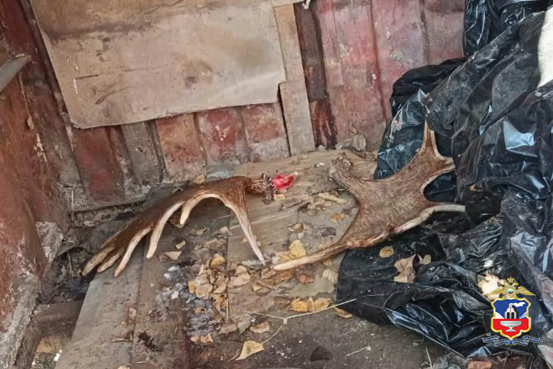 Многогранного браконьера задержали в Калманском районе Многогранного браконьера задержали в Калманском районе