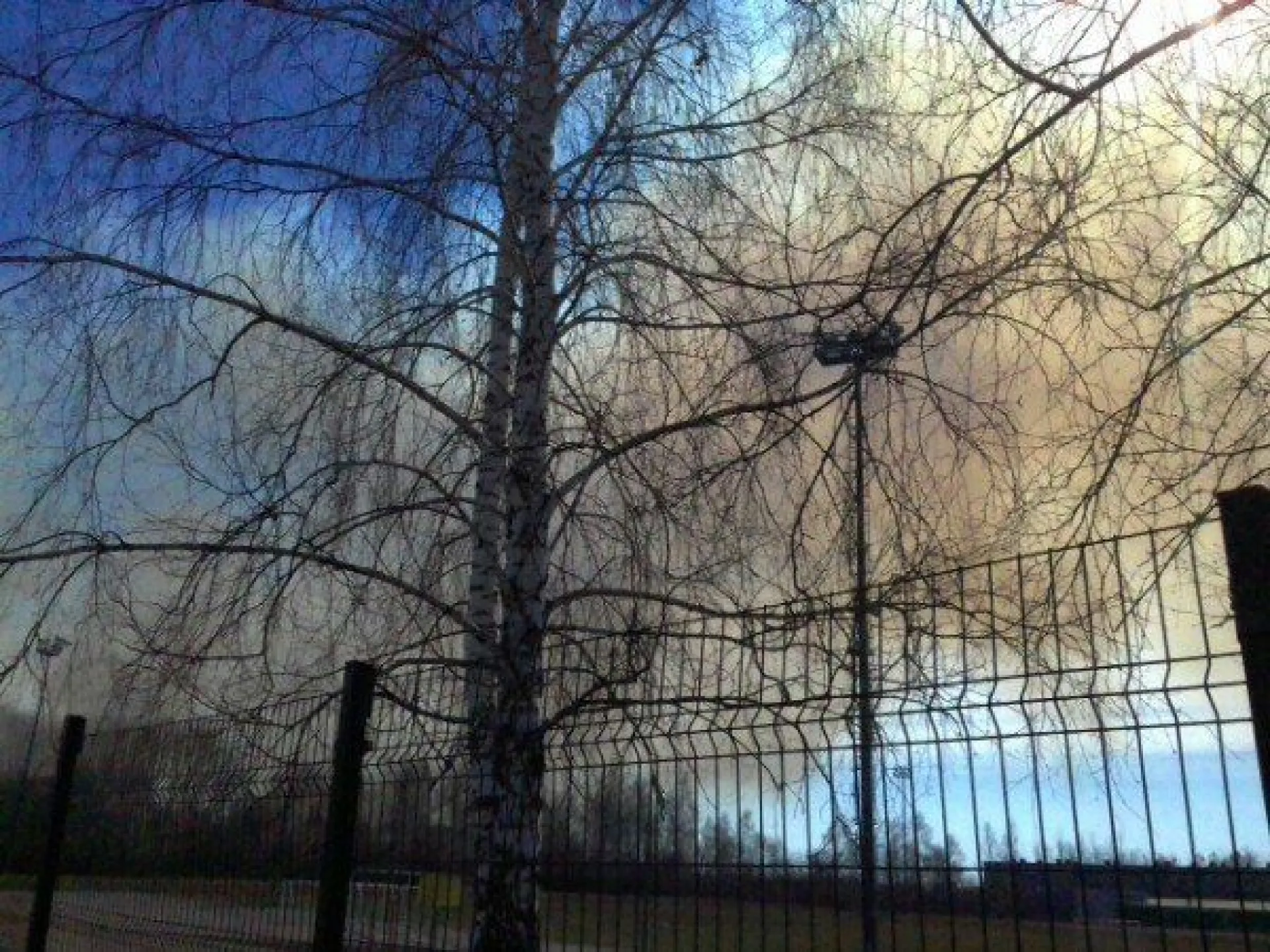 Поля с сухой травой горят около Новоалтайска