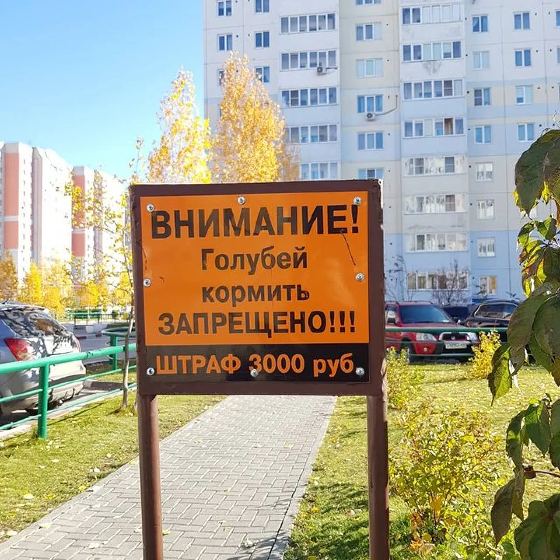Таблички с запретом кормить голубей появились в барнаульском квартале новостроек Таблички с запретом кормить голубей появились в барнаульском квартале новостроек