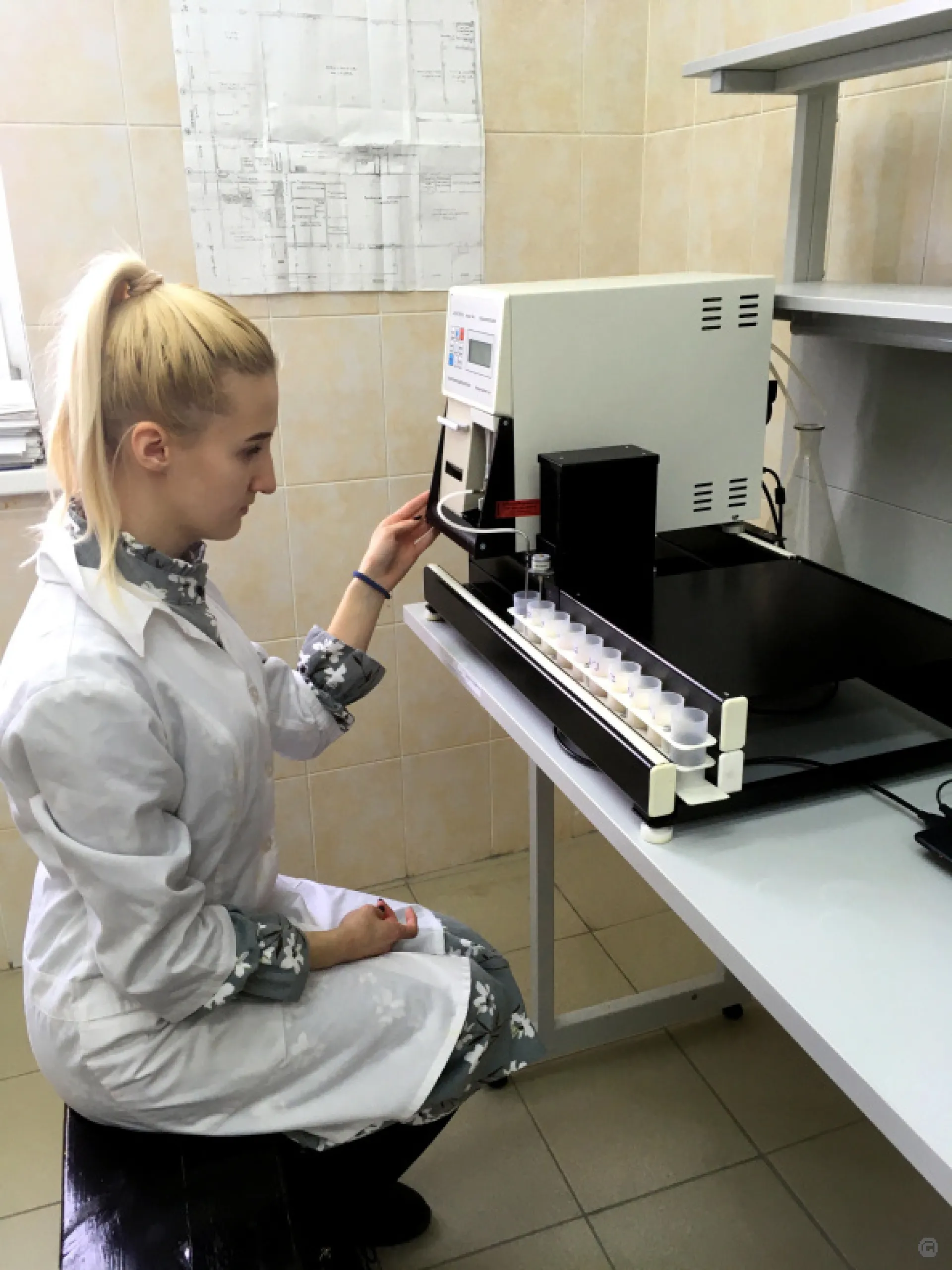 Студенты Алтайского аграрного университета разработали стартап по производству растительного молока с ягодами Студенты Алтайского аграрного университета разработали стартап по производству растительного молока с ягодами
