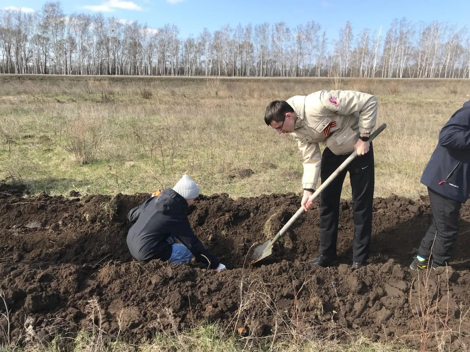 Рябиновую аллею высадили на въезде в село Новичиха Рябиновую аллею высадили на въезде в село Новичиха