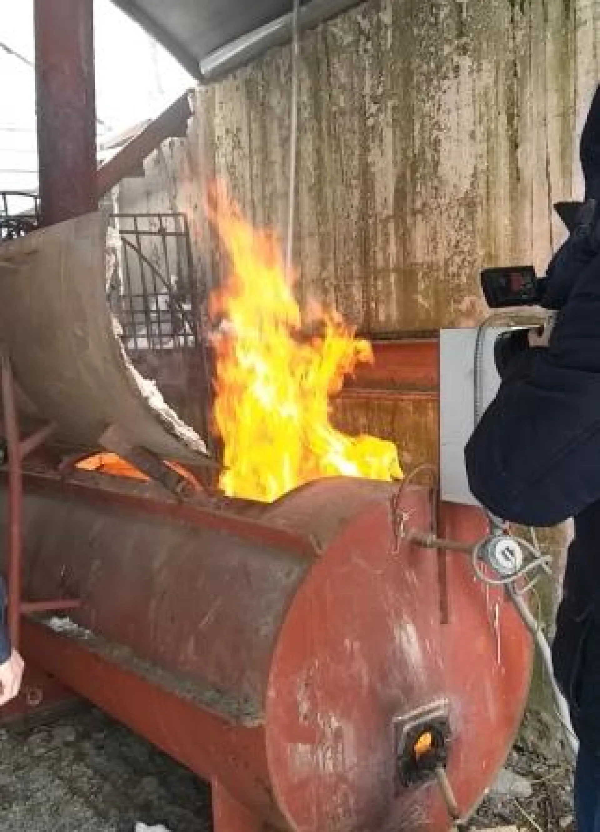Опасные итальянские семена сожгли в Алтайском крае