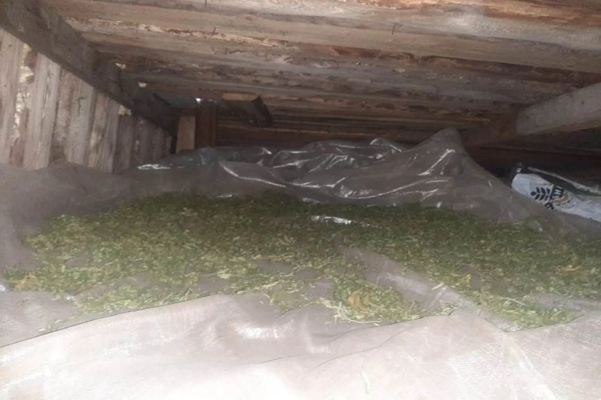 Полицейские конфисковали у запасливого пенсионера более килограмма марихуаны в Алтайском крае Полицейские конфисковали у запасливого пенсионера более килограмма марихуаны в Алтайском крае