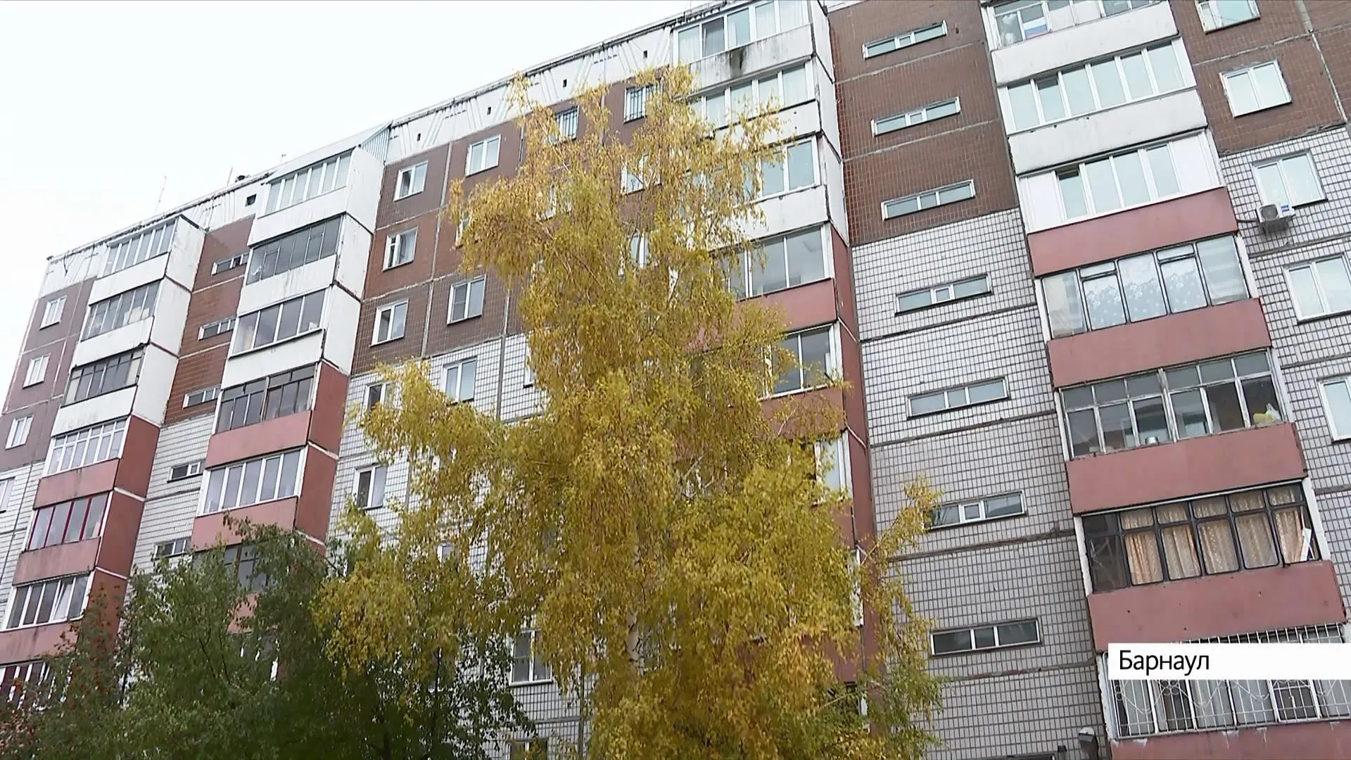Попасть домой практически невозможно: жители барнаульской многоэтажки жалуются на грязь во дворе дома Попасть домой практически невозможно: жители барнаульской многоэтажки жалуются на грязь во дворе дома