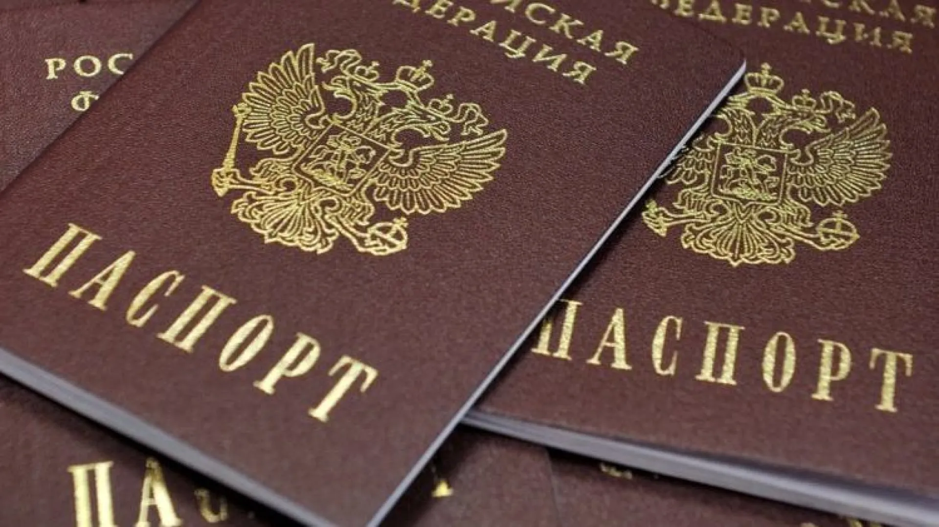 Рассказываем, что делать, если на ваш паспорт взяли кредит Рассказываем, что делать, если на ваш паспорт взяли кредит