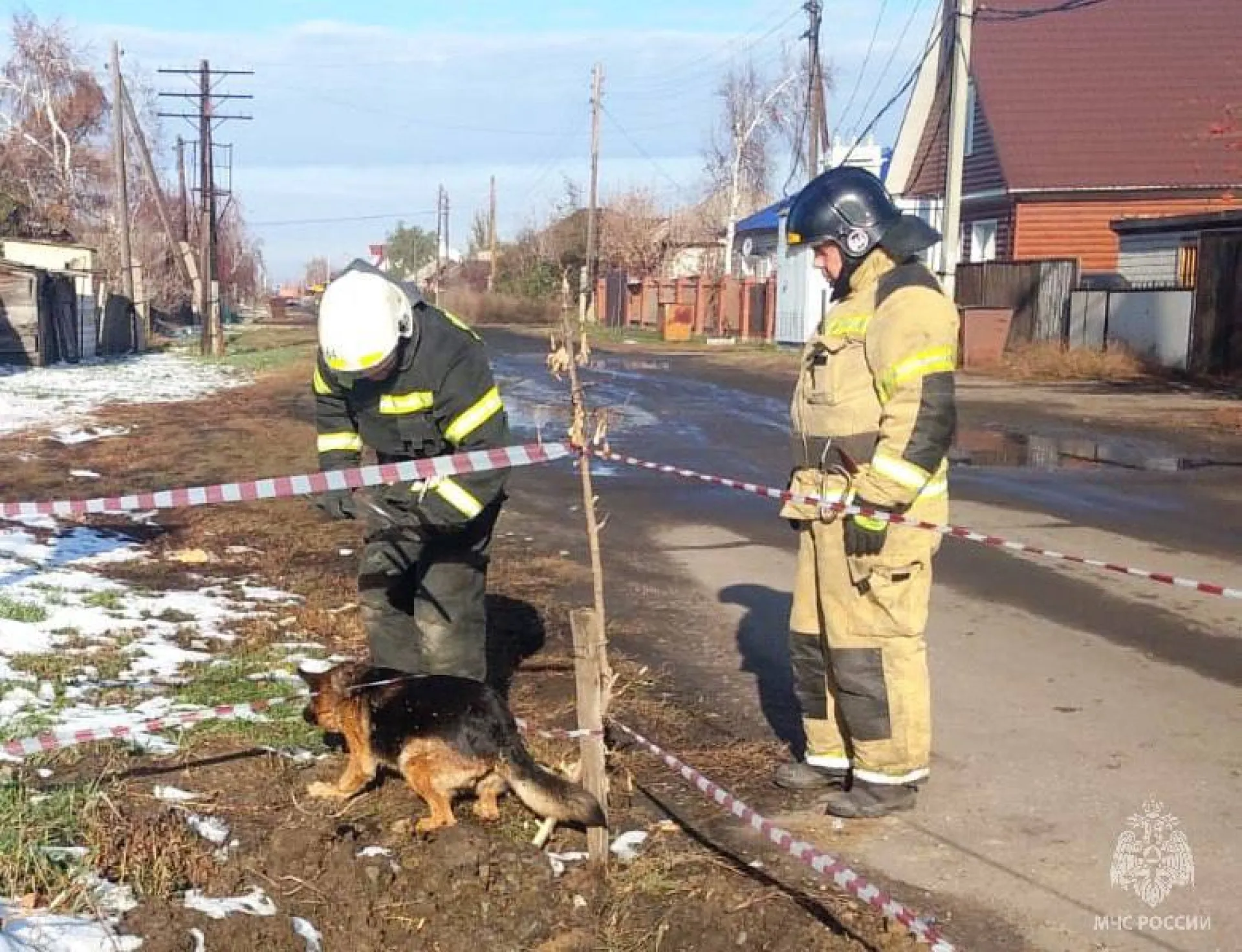 Немецкую овчарку достали со дна ямы в Благовещенском районе Немецкую овчарку достали со дна ямы в Благовещенском районе