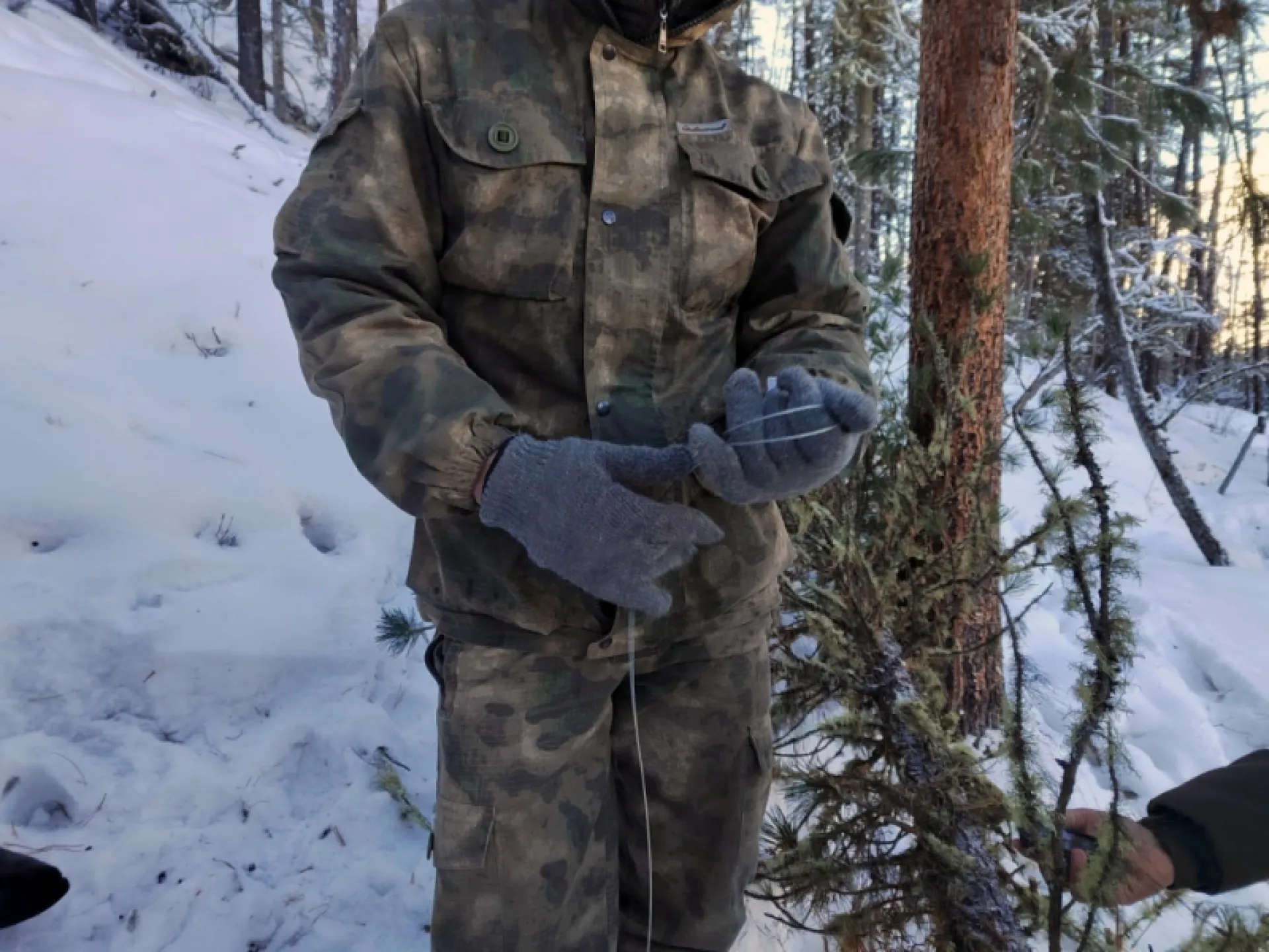 Трёх браконьеров задержали на Алтае Трёх браконьеров задержали на Алтае