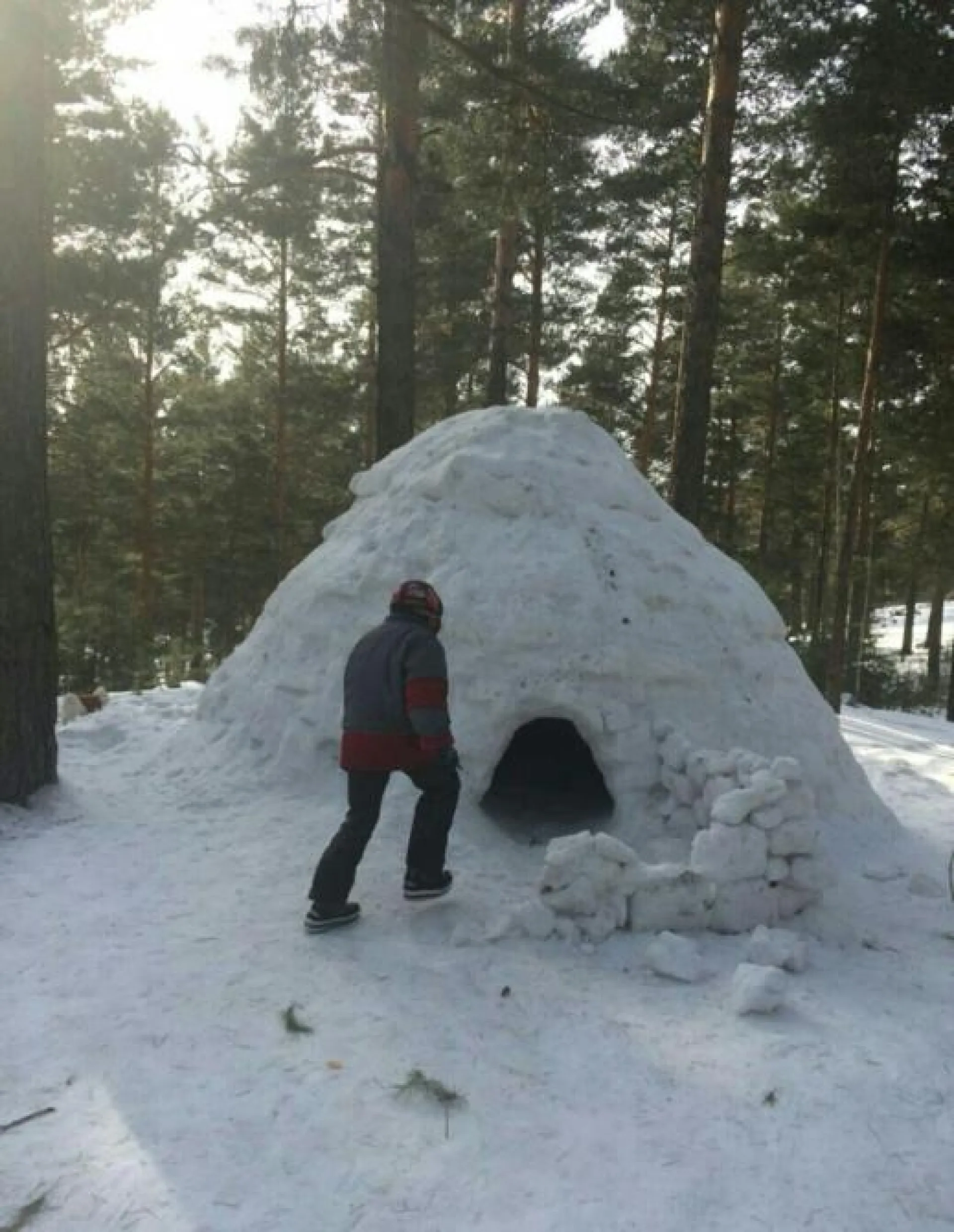 Жители Барнаула рассказали об огромном иглу в лесу 
