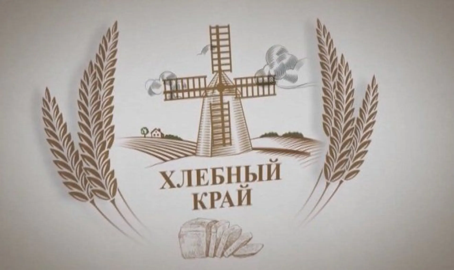 «Хлебный край»: как защитить отрасль птицеводства от птичьего гриппа