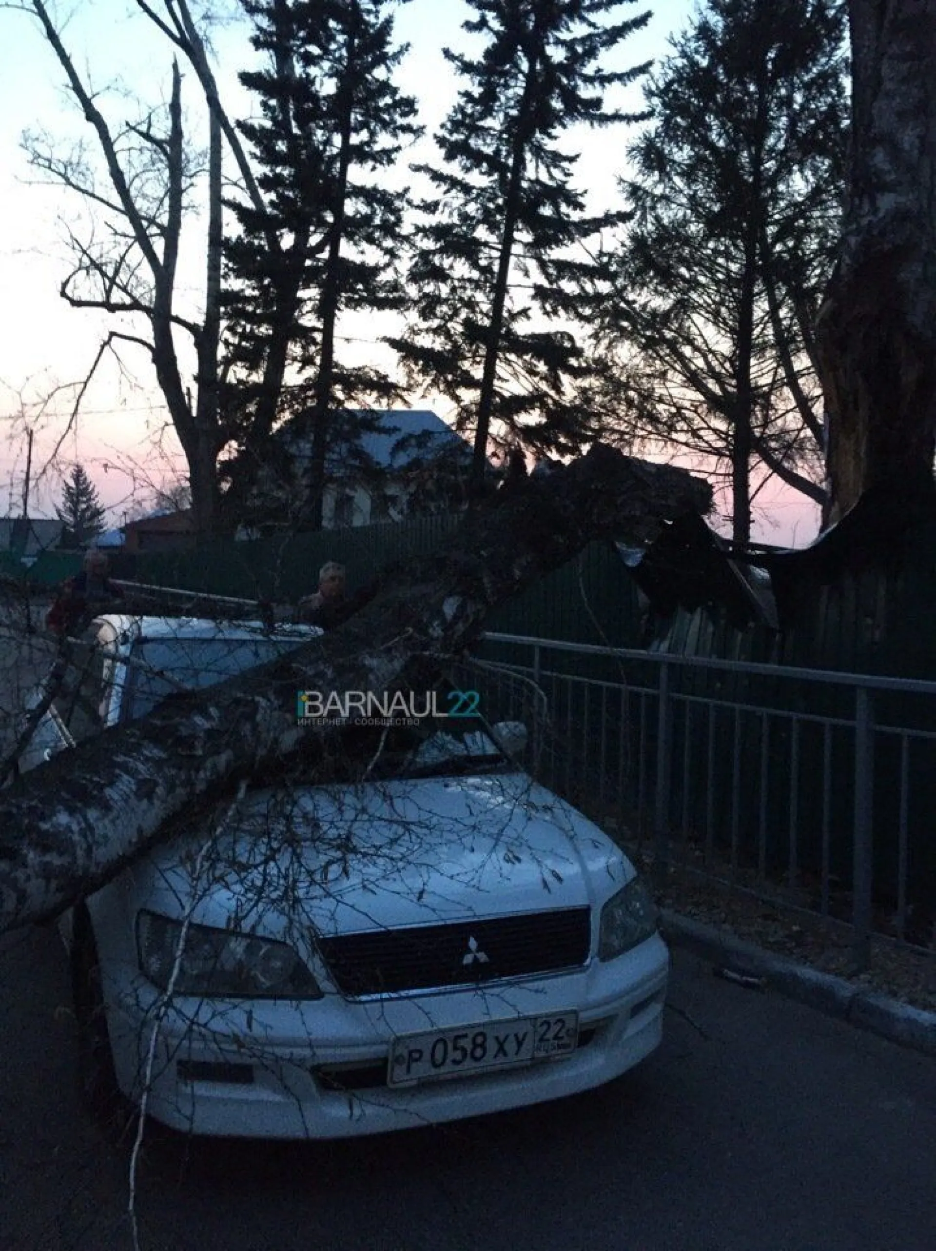 Дерево упало на припаркованный автомобиль в Нагорном парке Барнаула Дерево упало на припаркованный автомобиль в Нагорном парке Барнаула