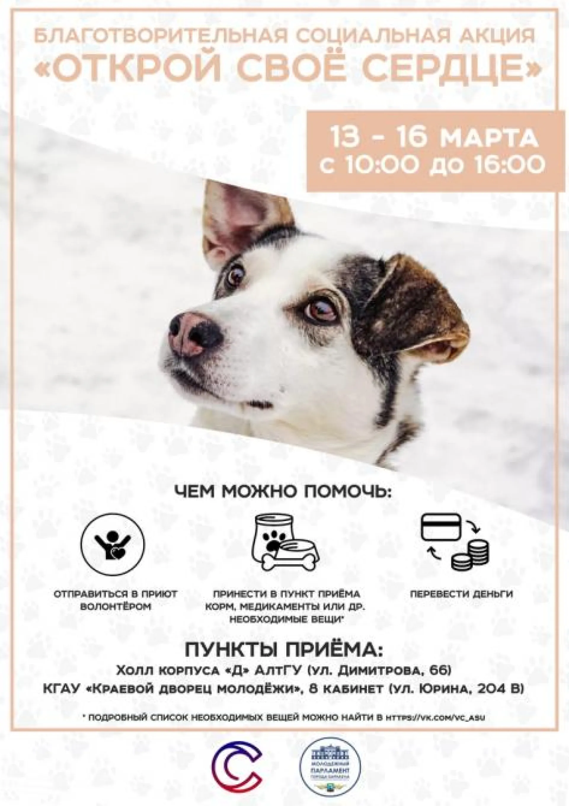 Волонтеры обращаются к жителям Барнаула с просьбой помочь приюту, в котором отравили животных