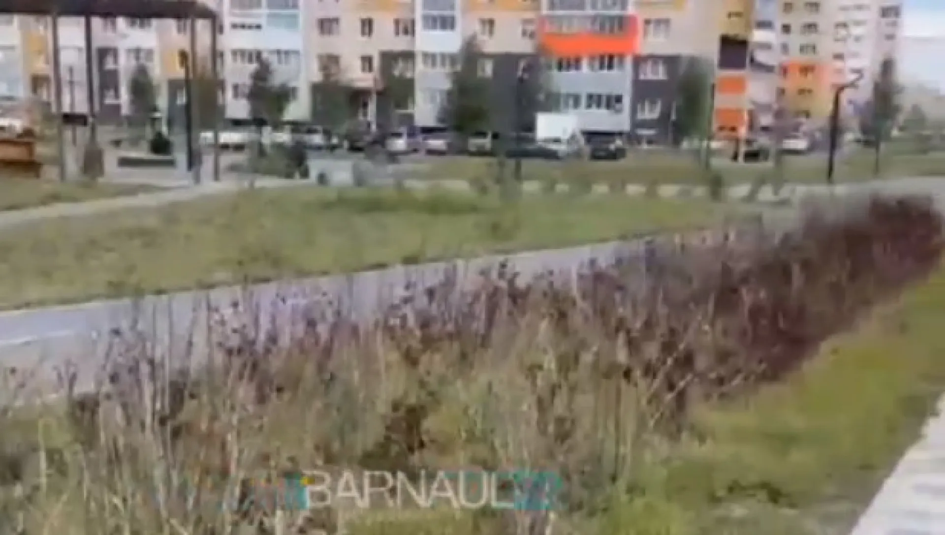 Барнаульцы пожаловались на «заброшенный сквер» Барнаульцы пожаловались на «заброшенный сквер»