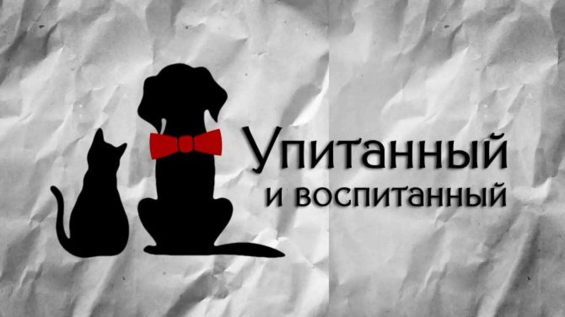 «Упитанный и воспитанный»: выпуск № 4