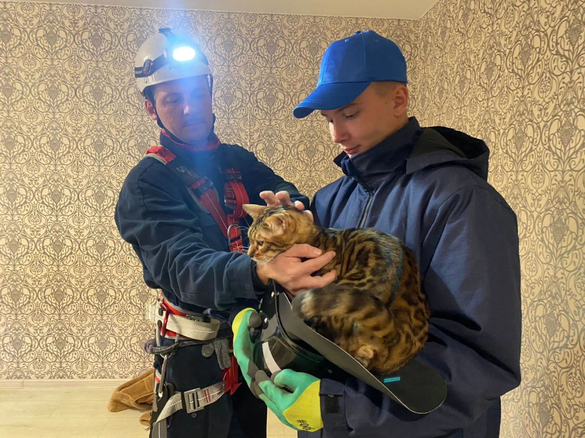 В Барнауле спасатели вызволили бенгальского котика из запертой ванной В Барнауле спасатели вызволили бенгальского котика из запертой ванной