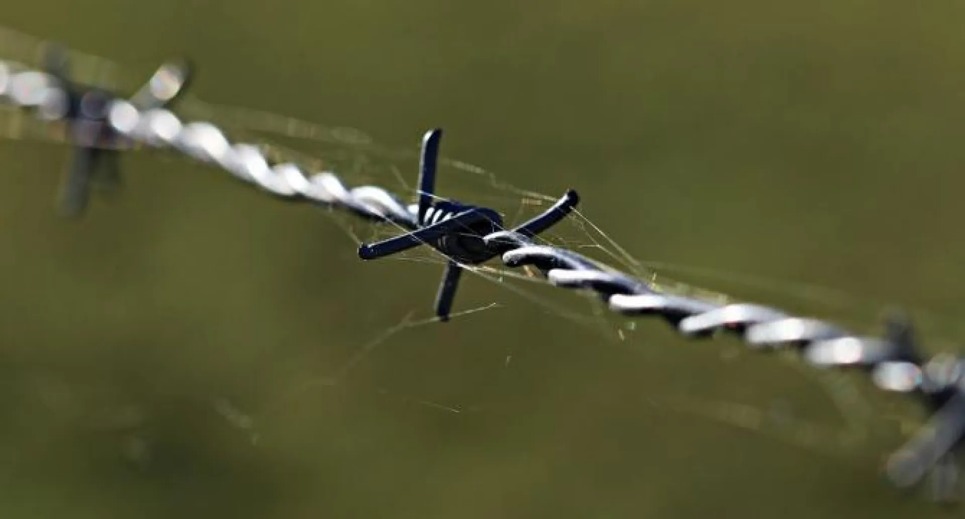 Убивший сожителя своей матери житель Алтайского края несколько лет скрывался от правосудия