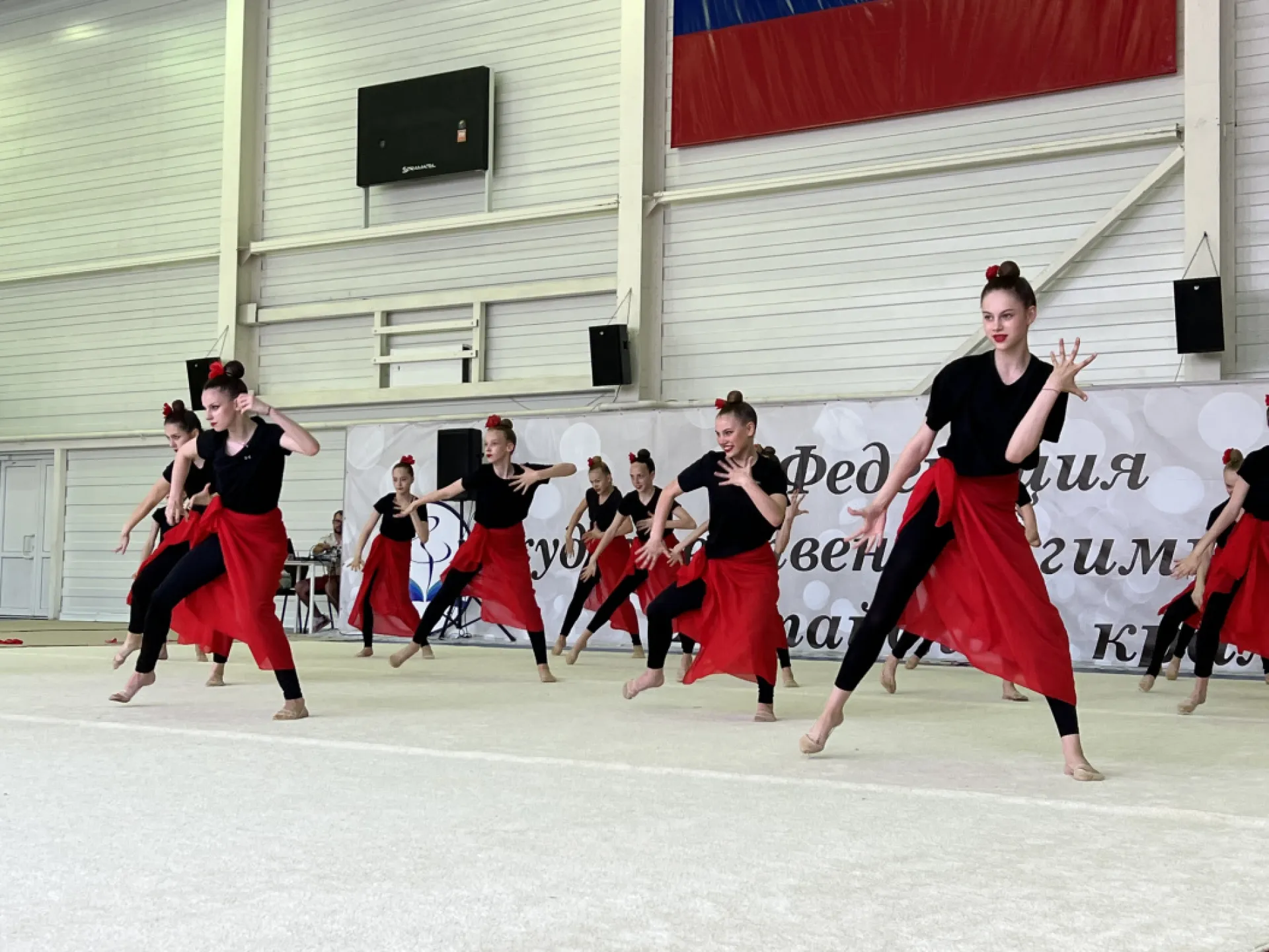 Барнаул встретил проект по художественной гимнастике «Искусство в спорте» Барнаул встретил проект по художественной гимнастике «Искусство в спорте»