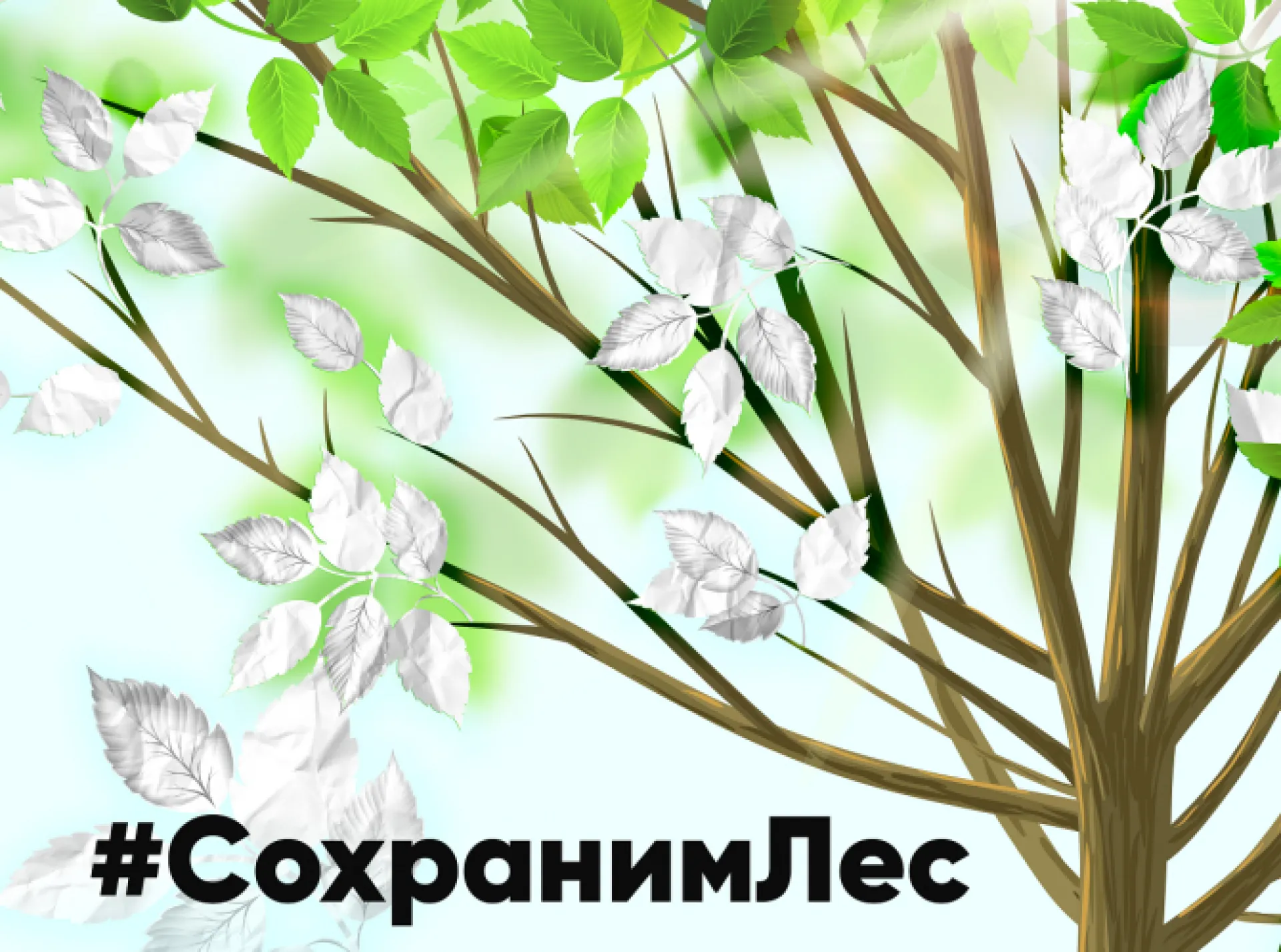 Всероссийская акция по сбору макулатуры #СохранимЛес пройдет в Барнауле Всероссийская акция по сбору макулатуры #СохранимЛес пройдет в Барнауле