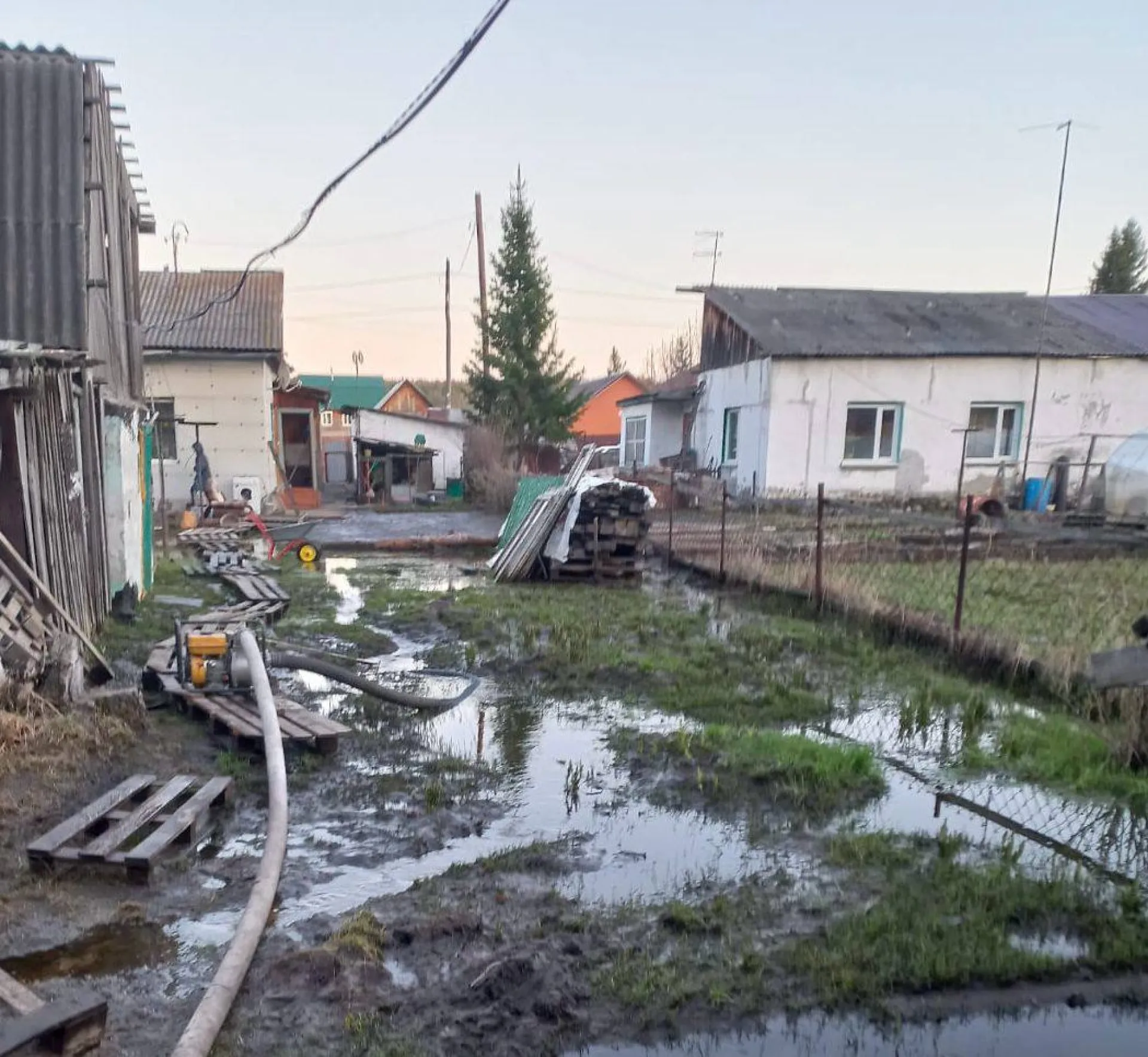 В посёлке Борзовая Заимка ведётся откачка грунтовой воды с низменных участков В посёлке Борзовая Заимка ведётся откачка грунтовой воды с низменных участков