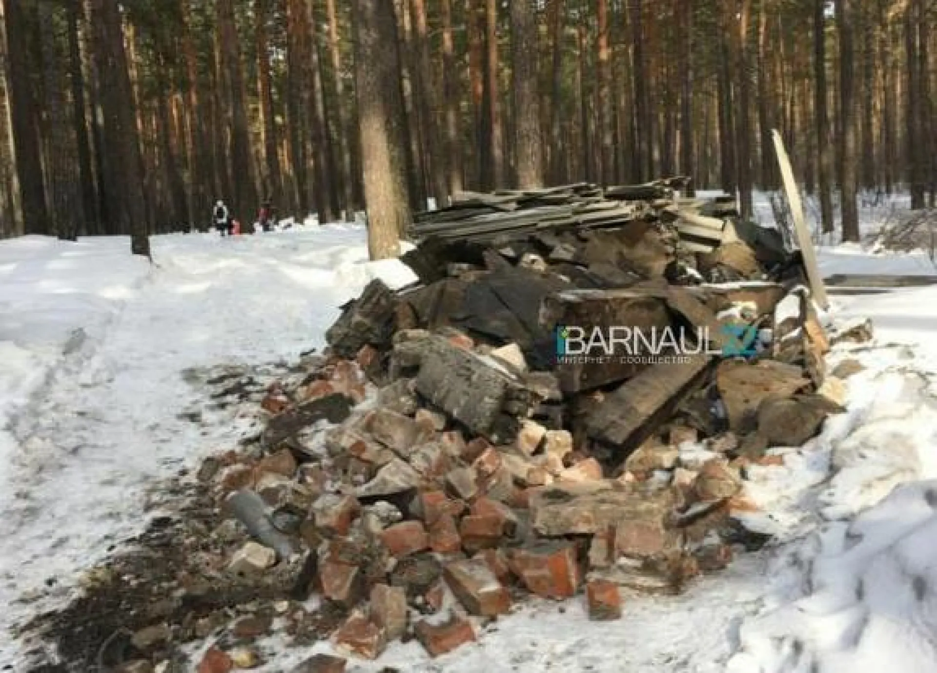 Свалку в ленточном бору ликвидировали в Барнауле Свалку в ленточном бору ликвидировали в Барнауле