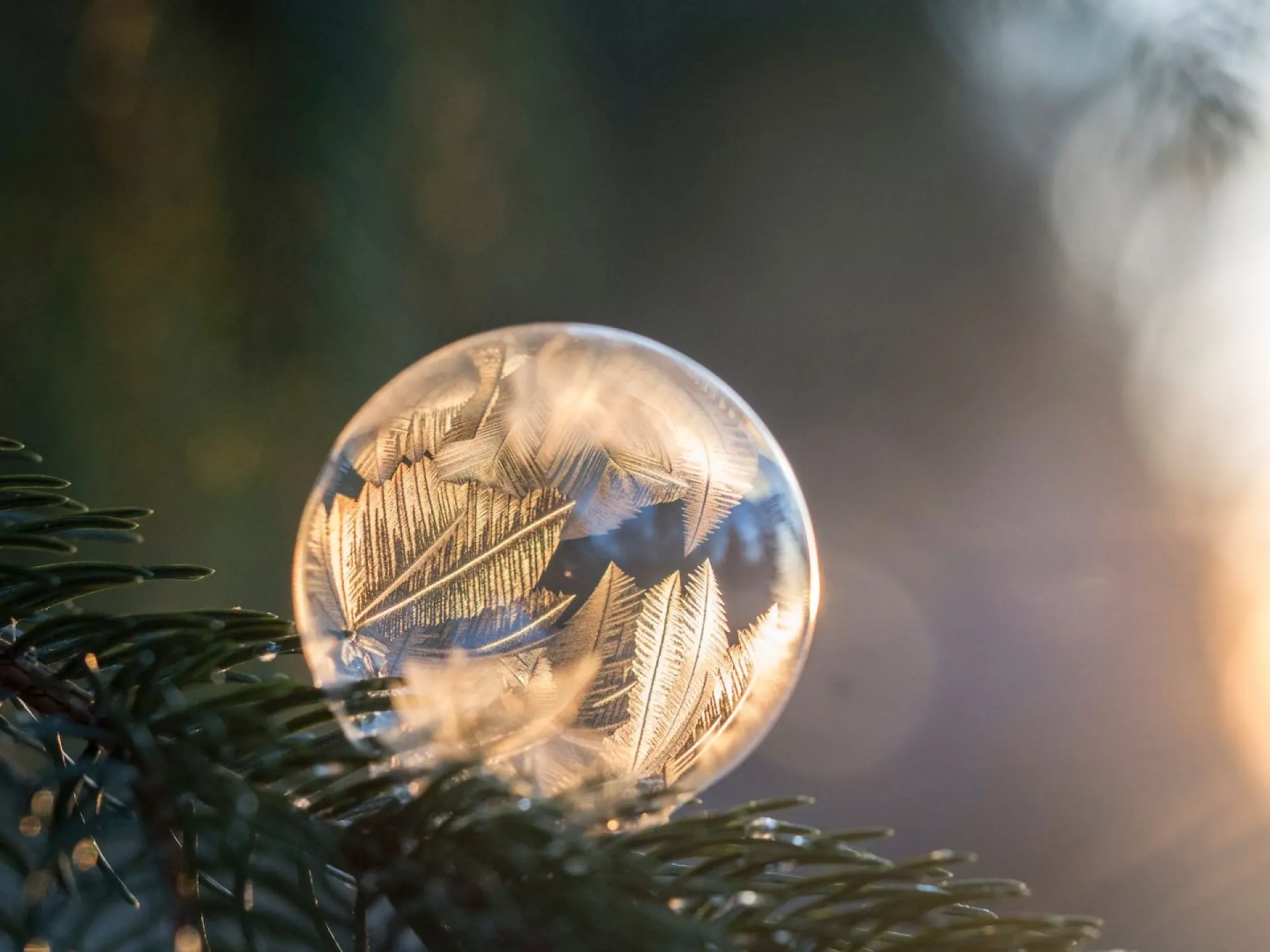 Трифонов день: традиции и приметы на 14 февраля