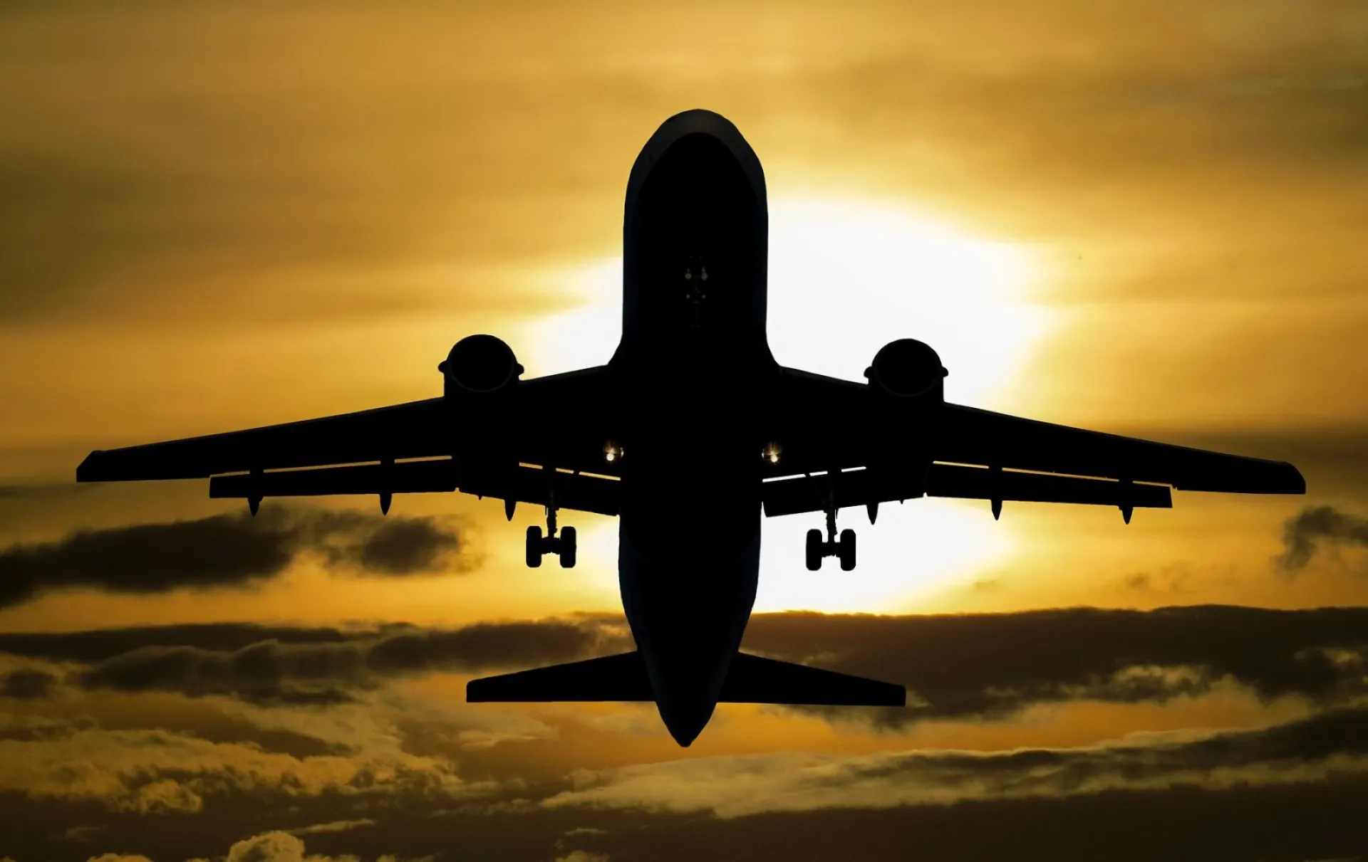 QR-коды в самолётах и поездах могут ввести в России QR-коды в самолётах и поездах могут ввести в России