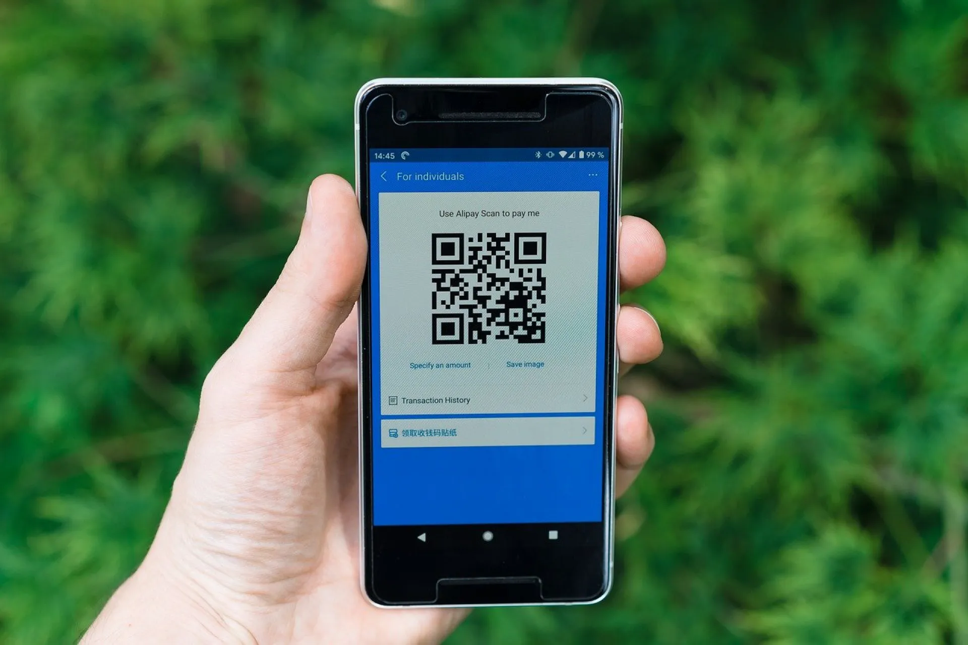Алтайский Роспотребнадзор не исключает введение QR-кодов в общественном транспорте Алтайский Роспотребнадзор не исключает введение QR-кодов в общественном транспорте