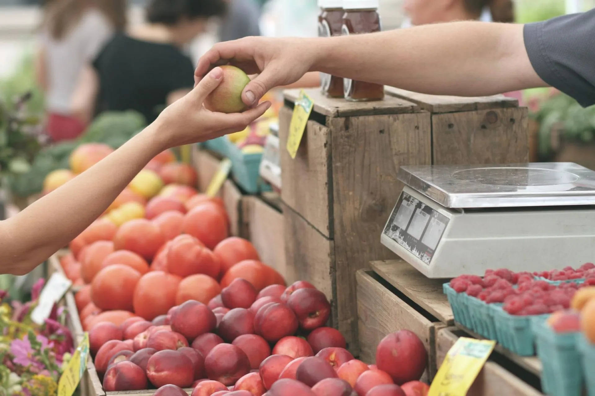Продуктовые ярмарки пройдут в Барнауле Продуктовые ярмарки пройдут в Барнауле
