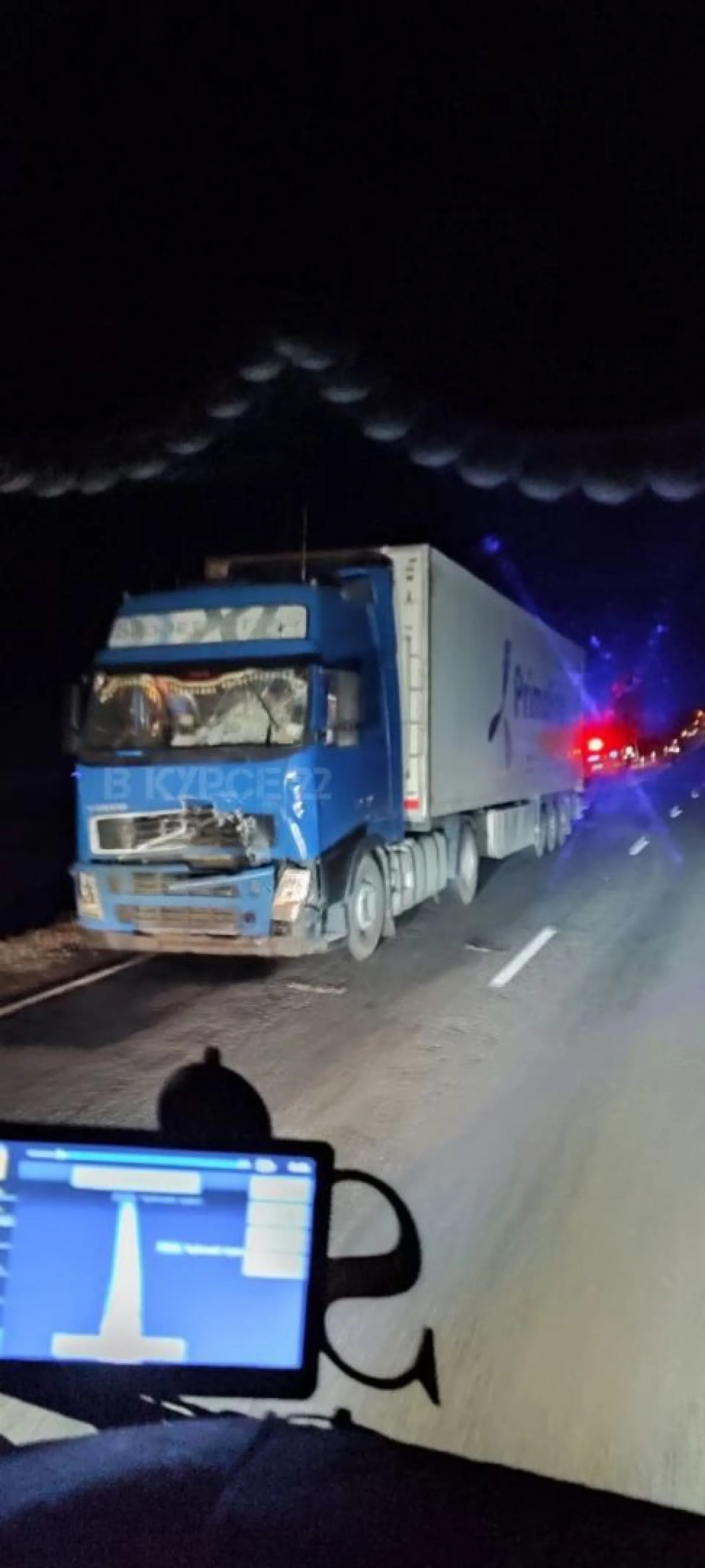 ДТП с лошадью произошло на трассе Алтайского края ДТП с лошадью произошло на трассе Алтайского края