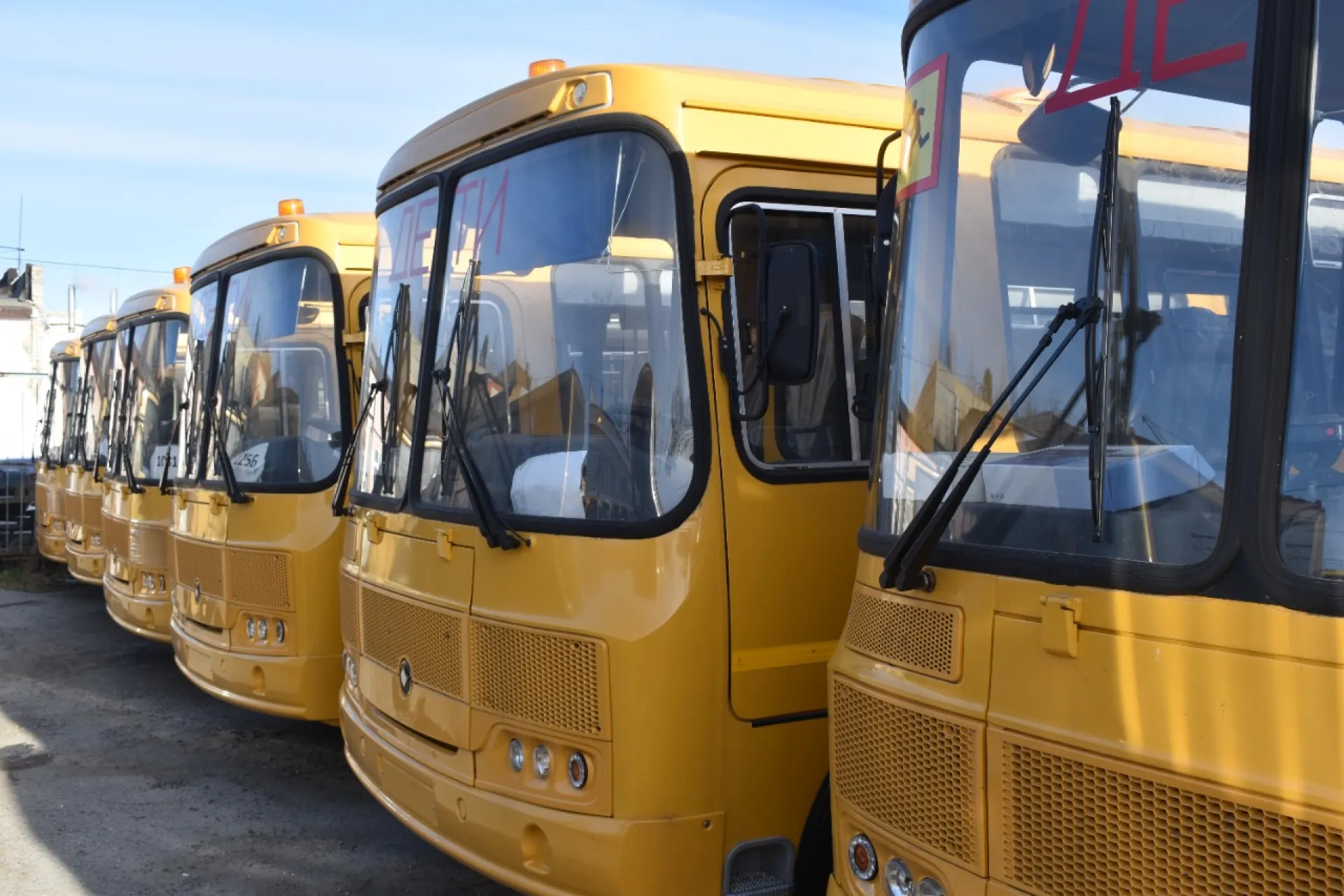 Школы Алтайского края получат 100 новых автобусов Школы Алтайского края получат 100 новых автобусов