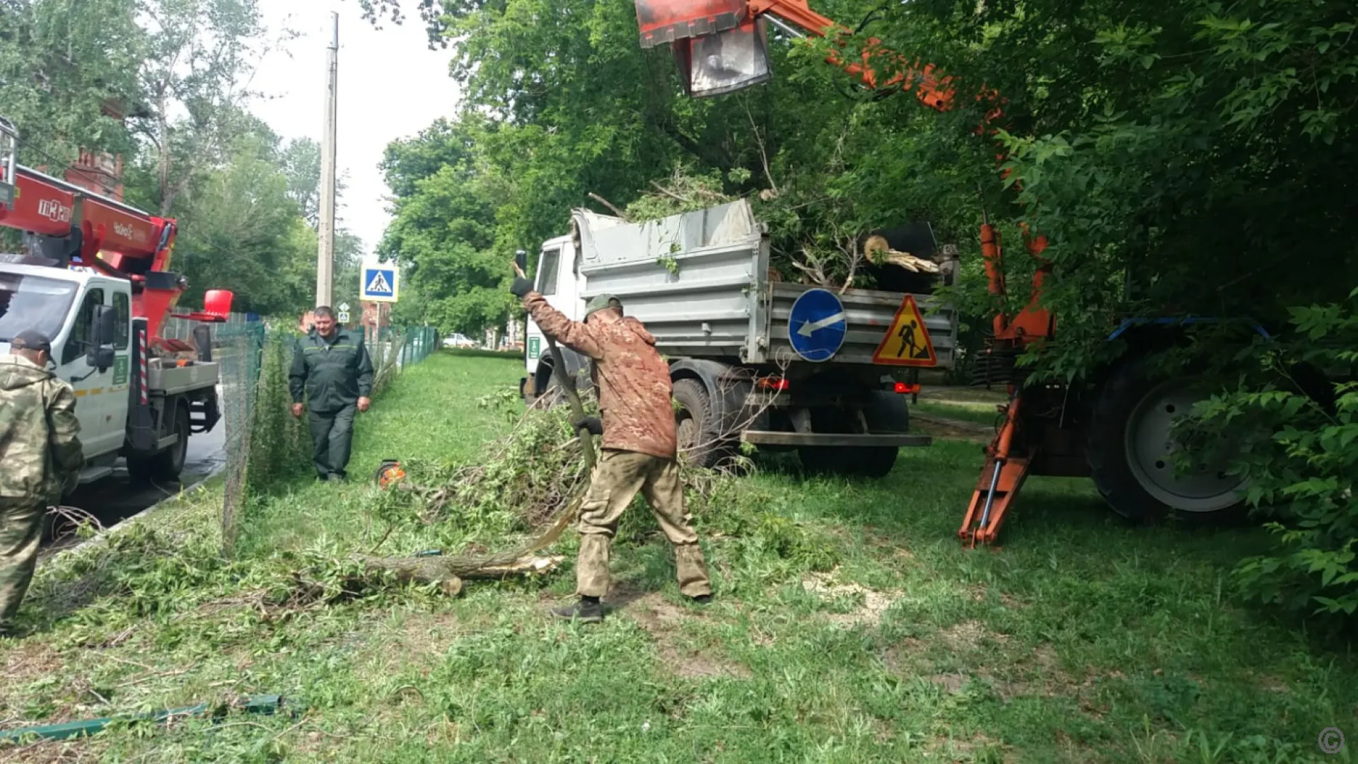 Три дерева упали на автомобили в Барнауле из-за сильного ветра Три дерева упали на автомобили в Барнауле из-за сильного ветра