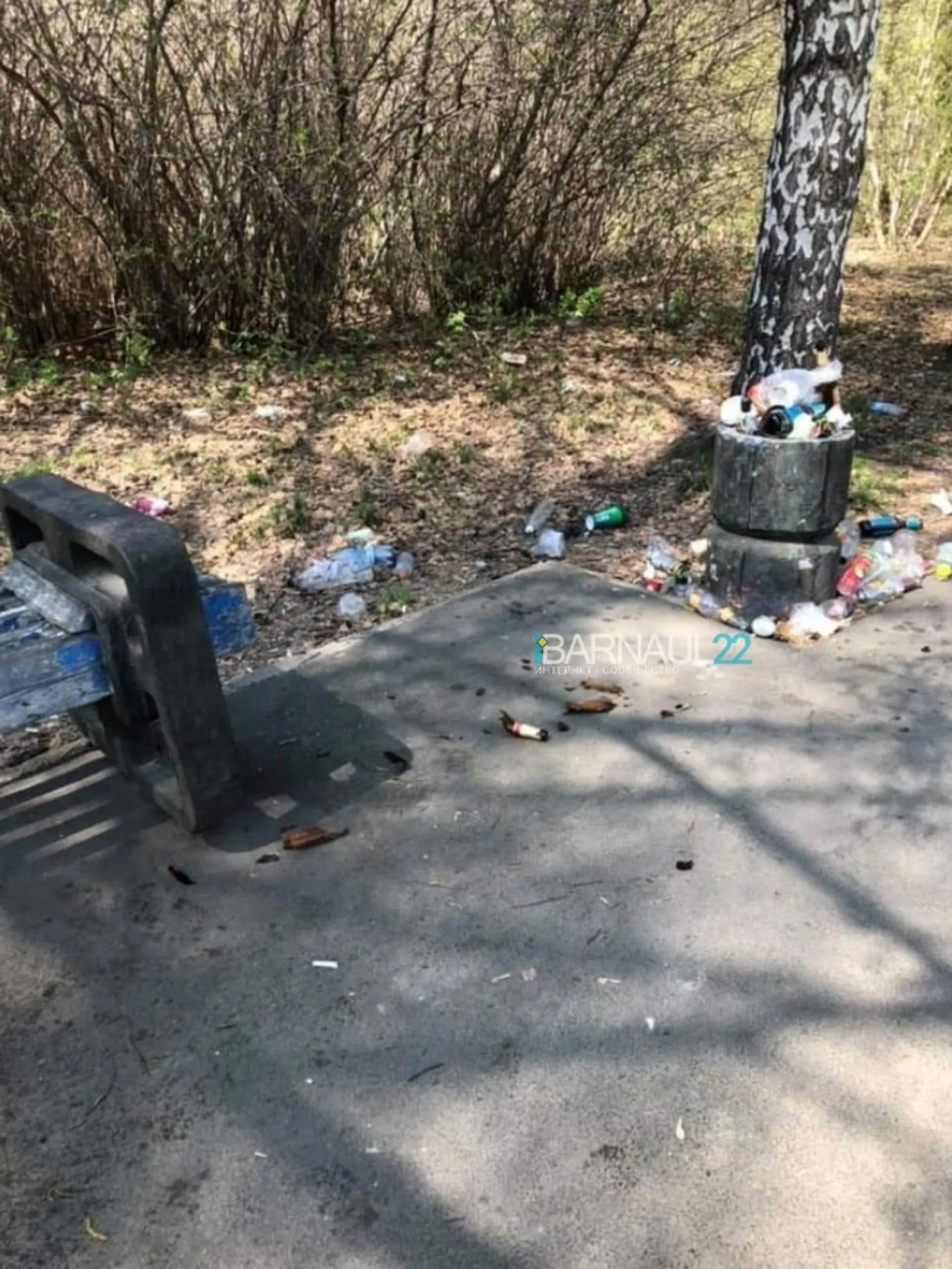 Барнаульцы возмутились беспорядком на городской аллее Барнаульцы возмутились беспорядком на городской аллее