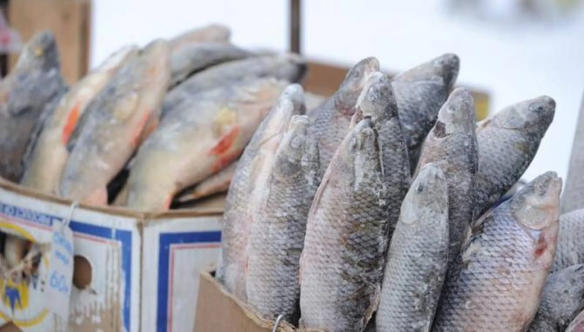 Роспотребнадзор предупреждает об опасных продуктах в местах несанкционированной торговли в Алтайском крае