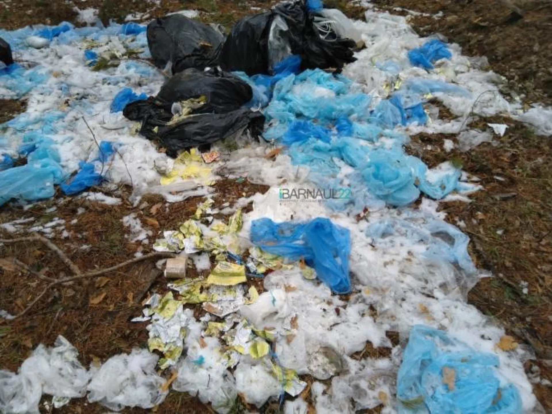 Новую свалку обнаружили в лесу в Алтайском крае