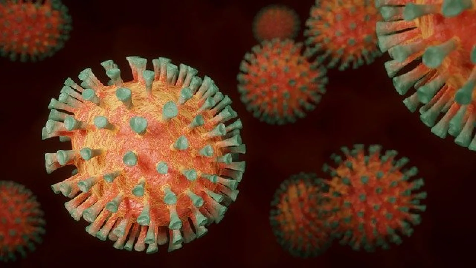 Невролог из Барнаула рассказала, как вернуть память после COVID-19 Невролог из Барнаула рассказала, как вернуть память после COVID-19