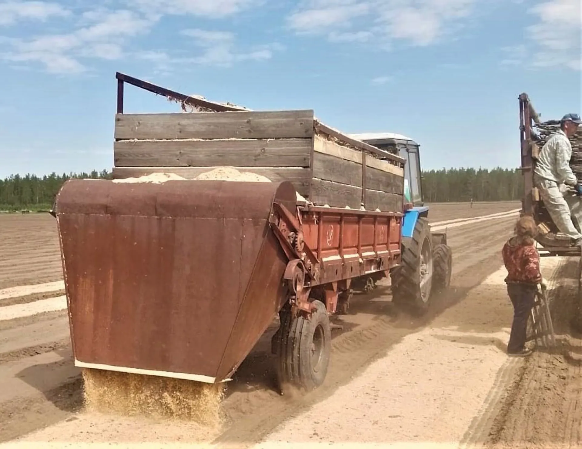 План по посеву в лесных питомниках Алтайского края выполнили на 100 % План по посеву в лесных питомниках Алтайского края выполнили на 100 %