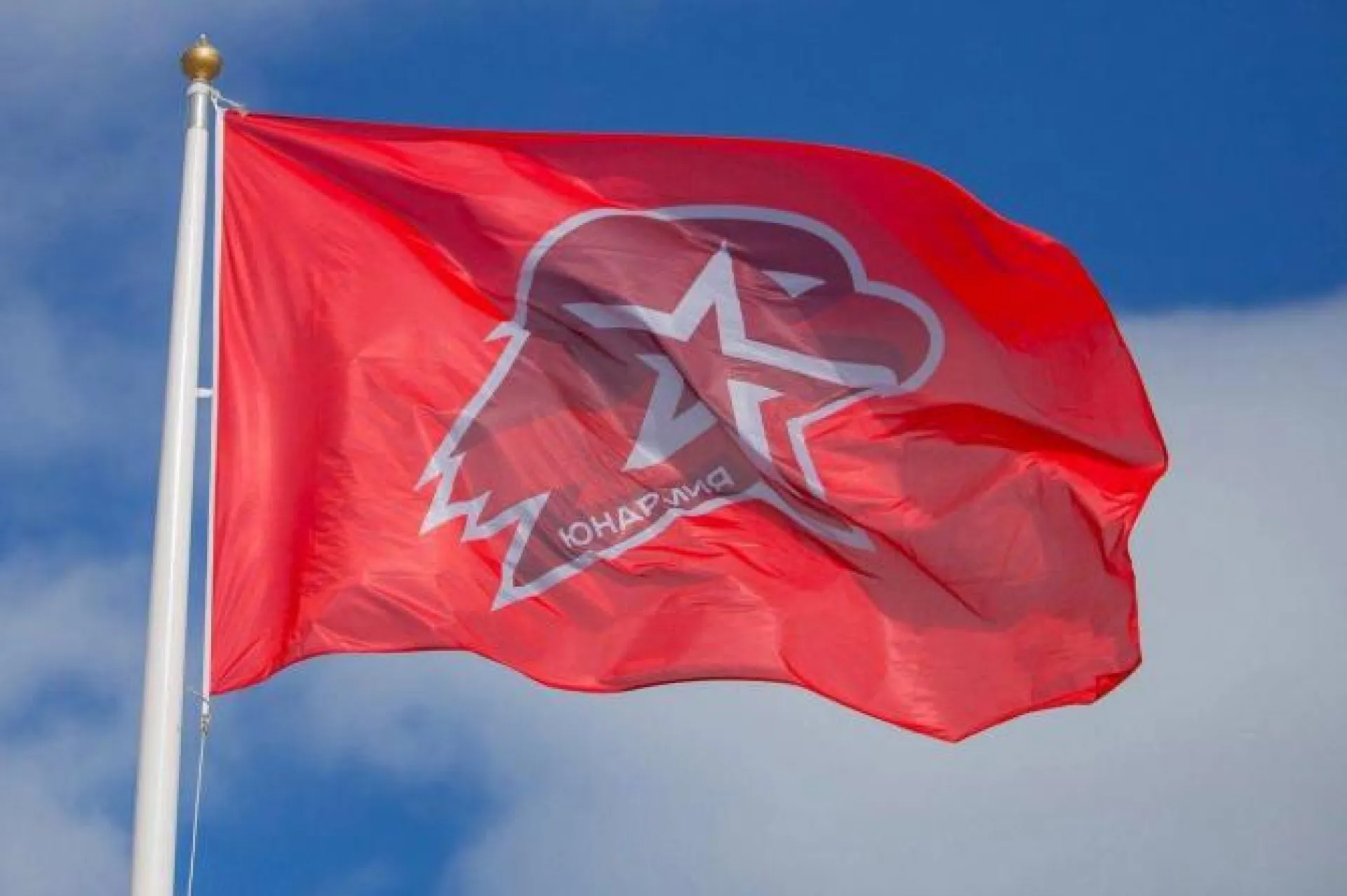 Более 300 школьников Алтайского края вступят в ряды Юнармии Более 300 школьников Алтайского края вступят в ряды Юнармии