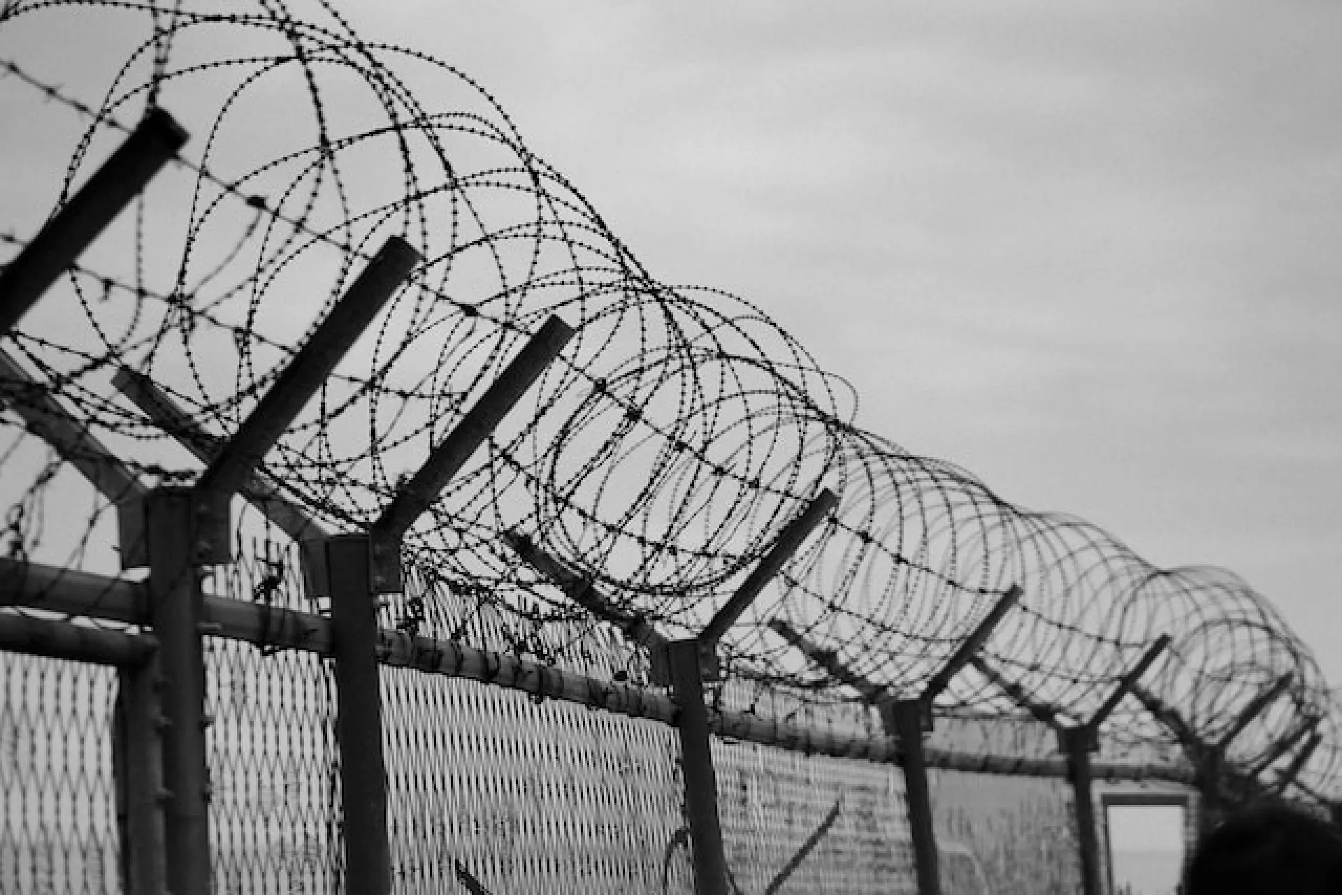 Приговор за связь с террористической организацией вынесли жительнице Барнаула Приговор за связь с террористической организацией вынесли жительнице Барнаула