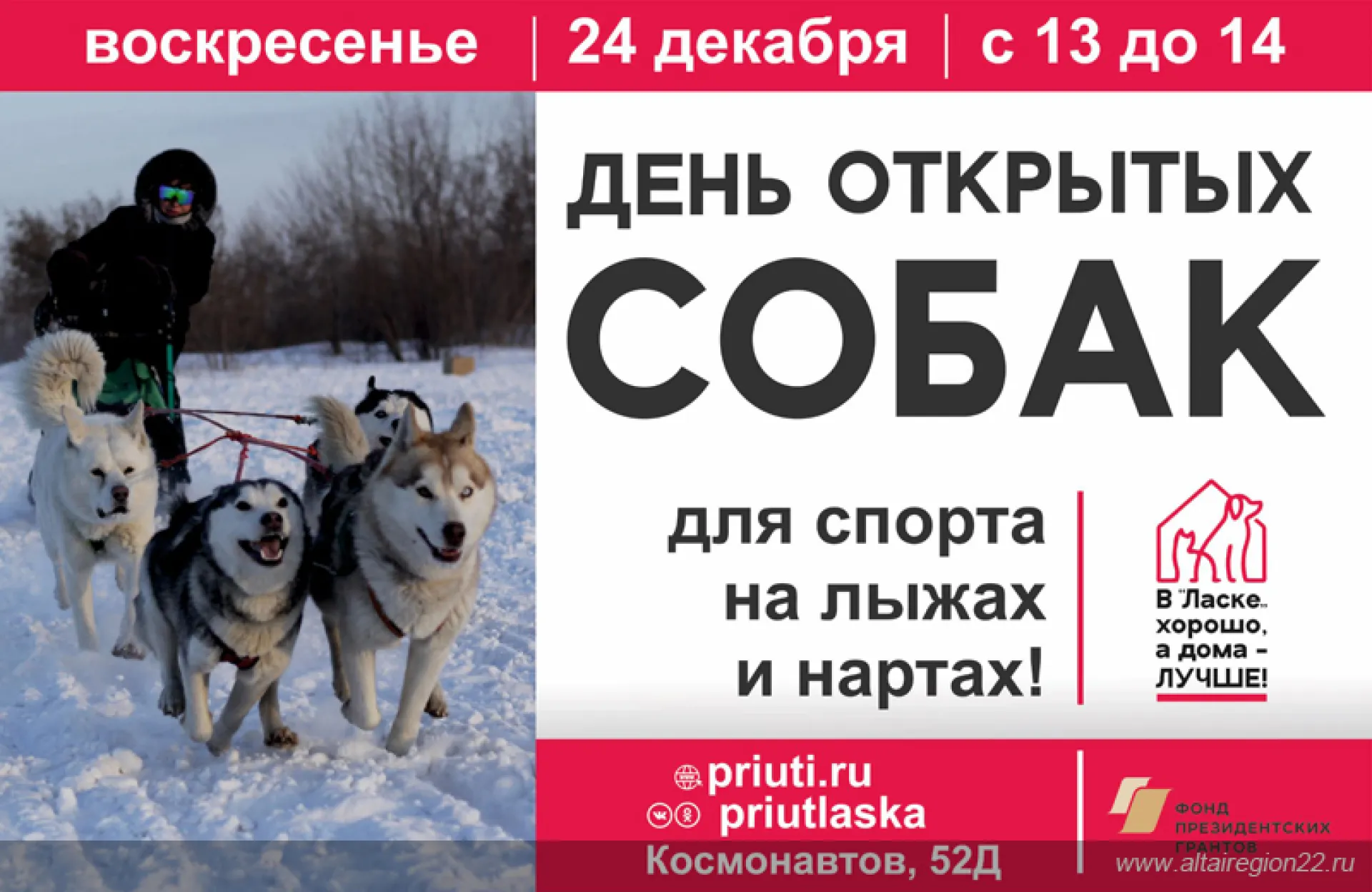 В приюте «Ласка» пройдет день открытых дверей В приюте «Ласка» пройдет день открытых дверей