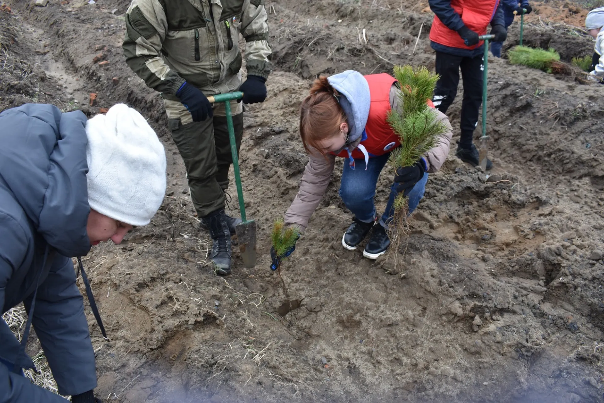 Международная акция по озеленению продолжается в Алтайском крае Международная акция по озеленению продолжается в Алтайском крае