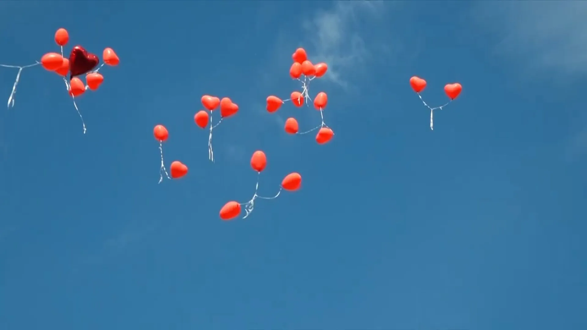 Более 1000 человек приехали принять участие в Дельфийских играх в Алтайском крае Более 1000 человек приехали принять участие в Дельфийских играх в Алтайском крае
