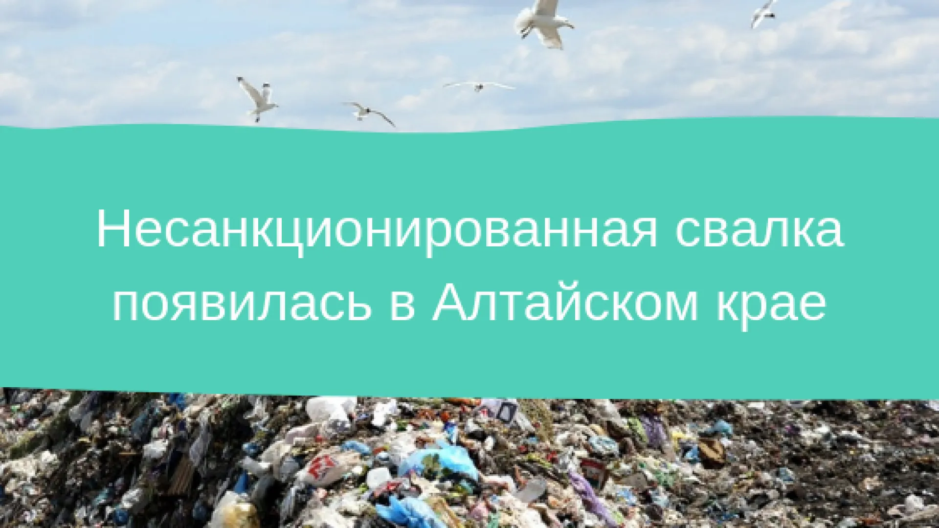 Несанкционированная свалка появилась в Алтайском крае Несанкционированная свалка появилась в Алтайском крае