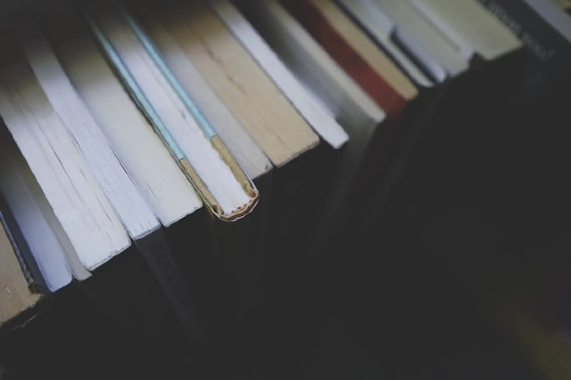 Самые популярные книги алтайской молодёжи назвали в «Шишковке»