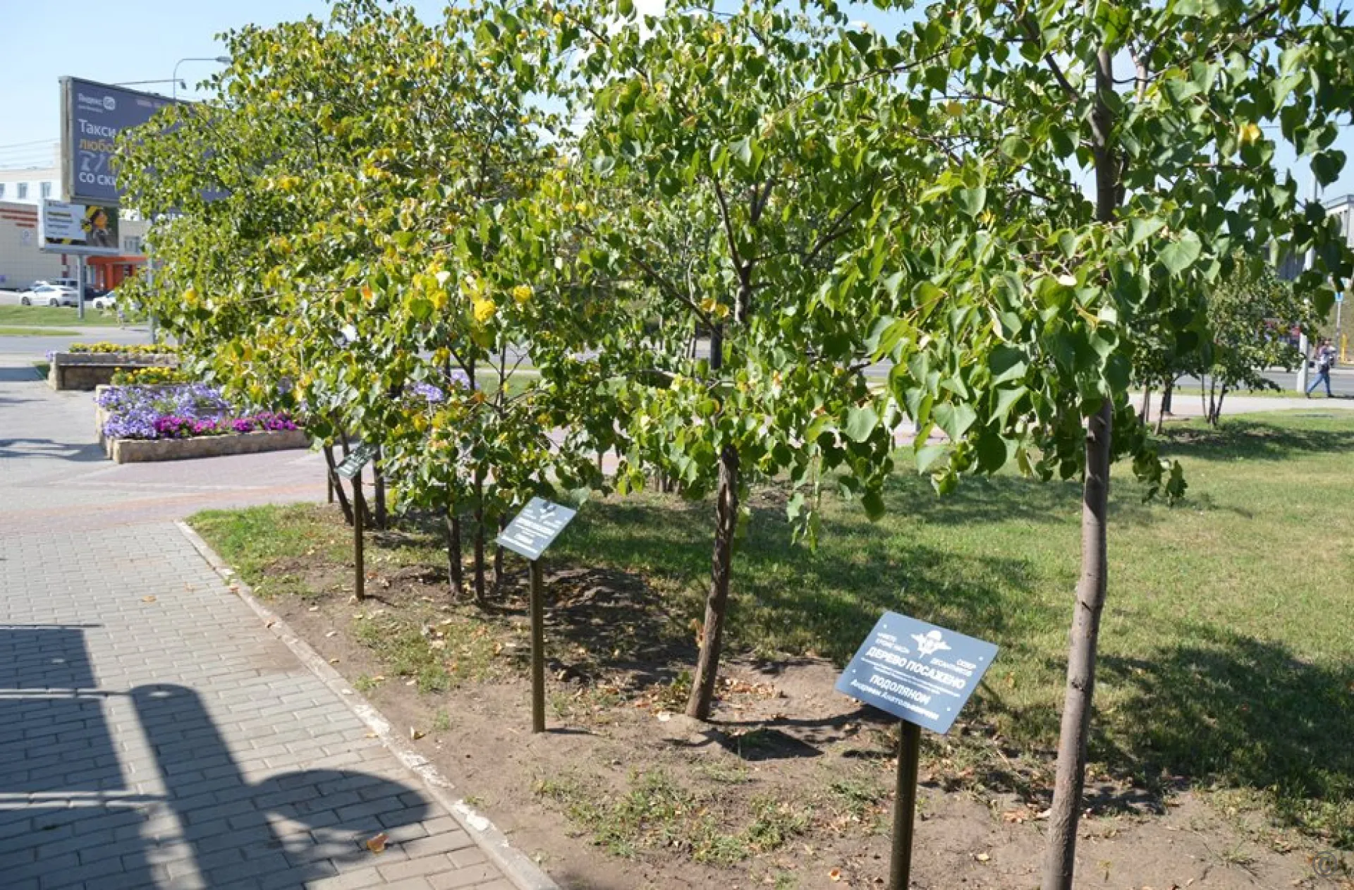 Памятные таблички установили в сквере Десантников в Барнауле Памятные таблички установили в сквере Десантников в Барнауле