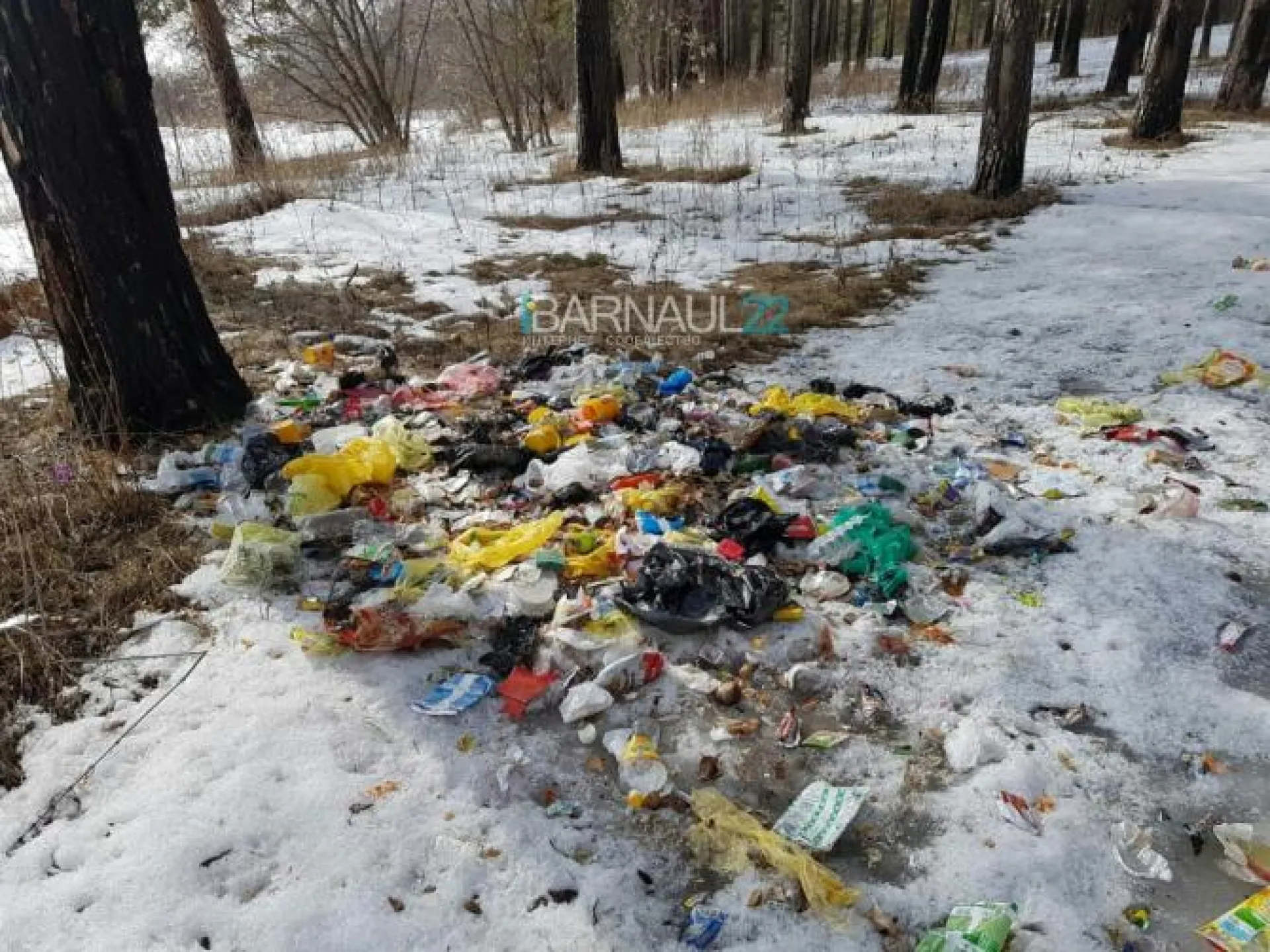 Соцсети: свалку мусора обнаружили в лесу в Алтайском крае
