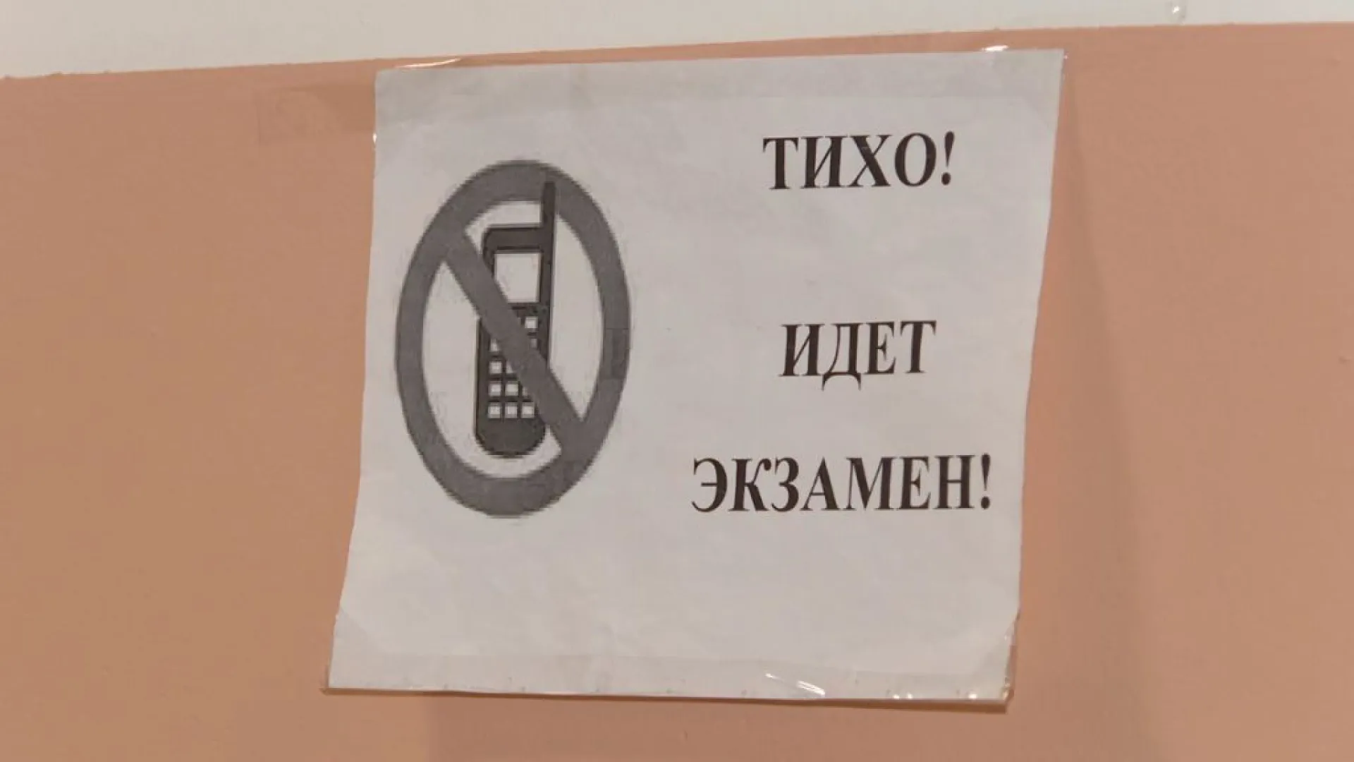 Досрочная сдача ЕГЭ началась в Алтайском крае