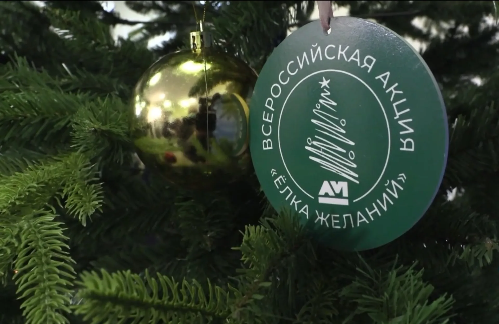 Губернатор Алтайского края принял участие в акции «Ёлка желаний» Губернатор Алтайского края принял участие в акции «Ёлка желаний»