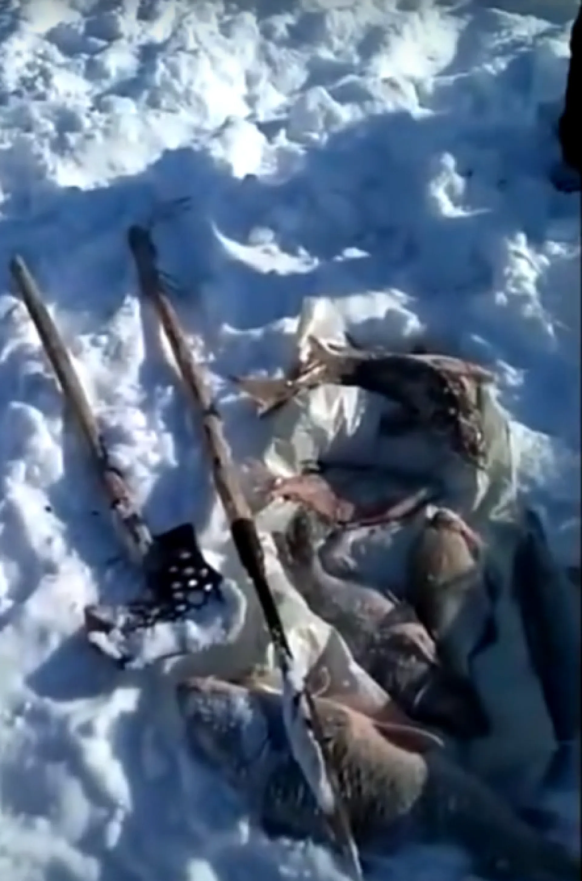Алтайского рыбака задержали в Новосибирской области Алтайского рыбака задержали в Новосибирской области