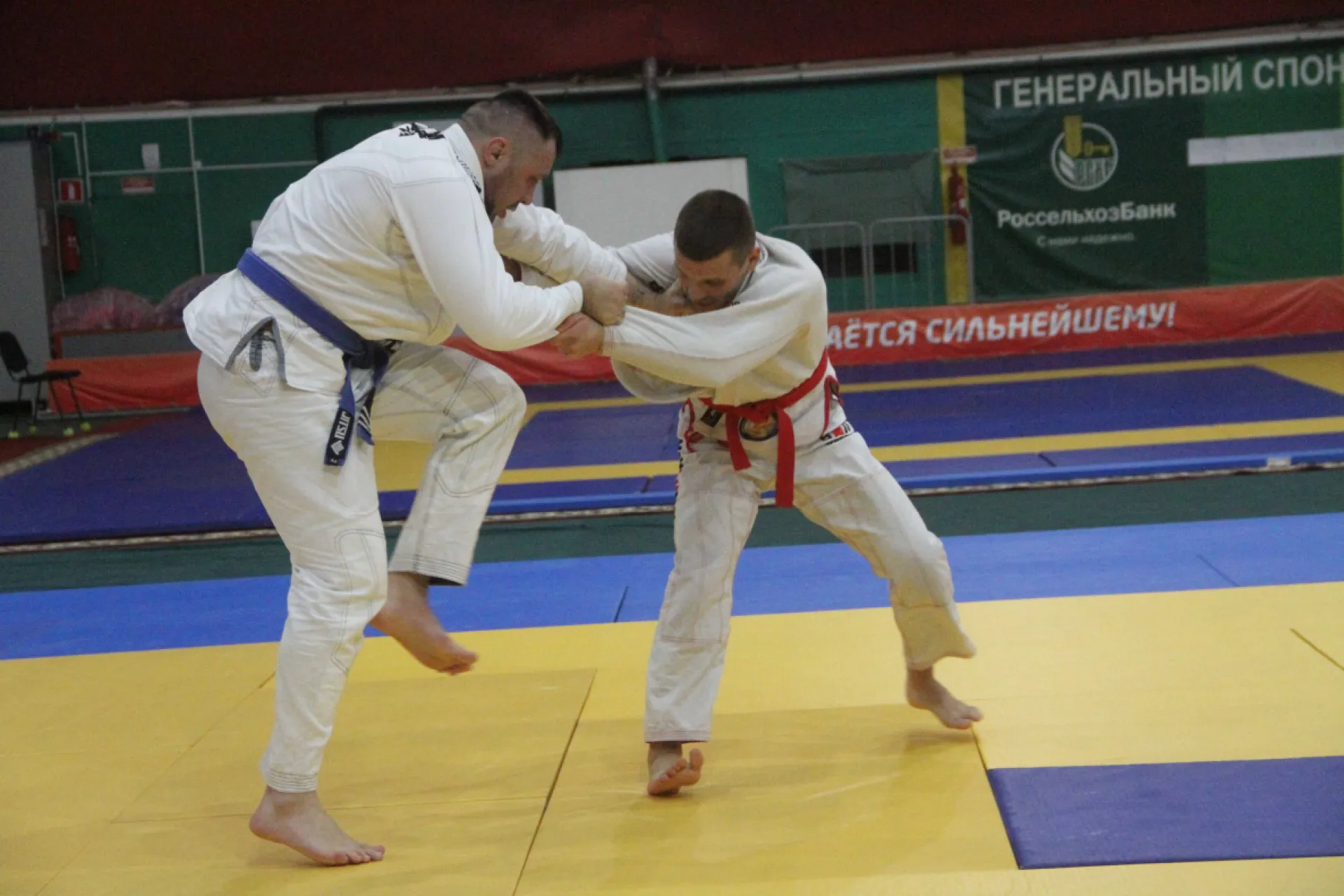 Чемпионат СФО по джиу-джитсу прошёл в Барнауле Чемпионат СФО по джиу-джитсу прошёл в Барнауле